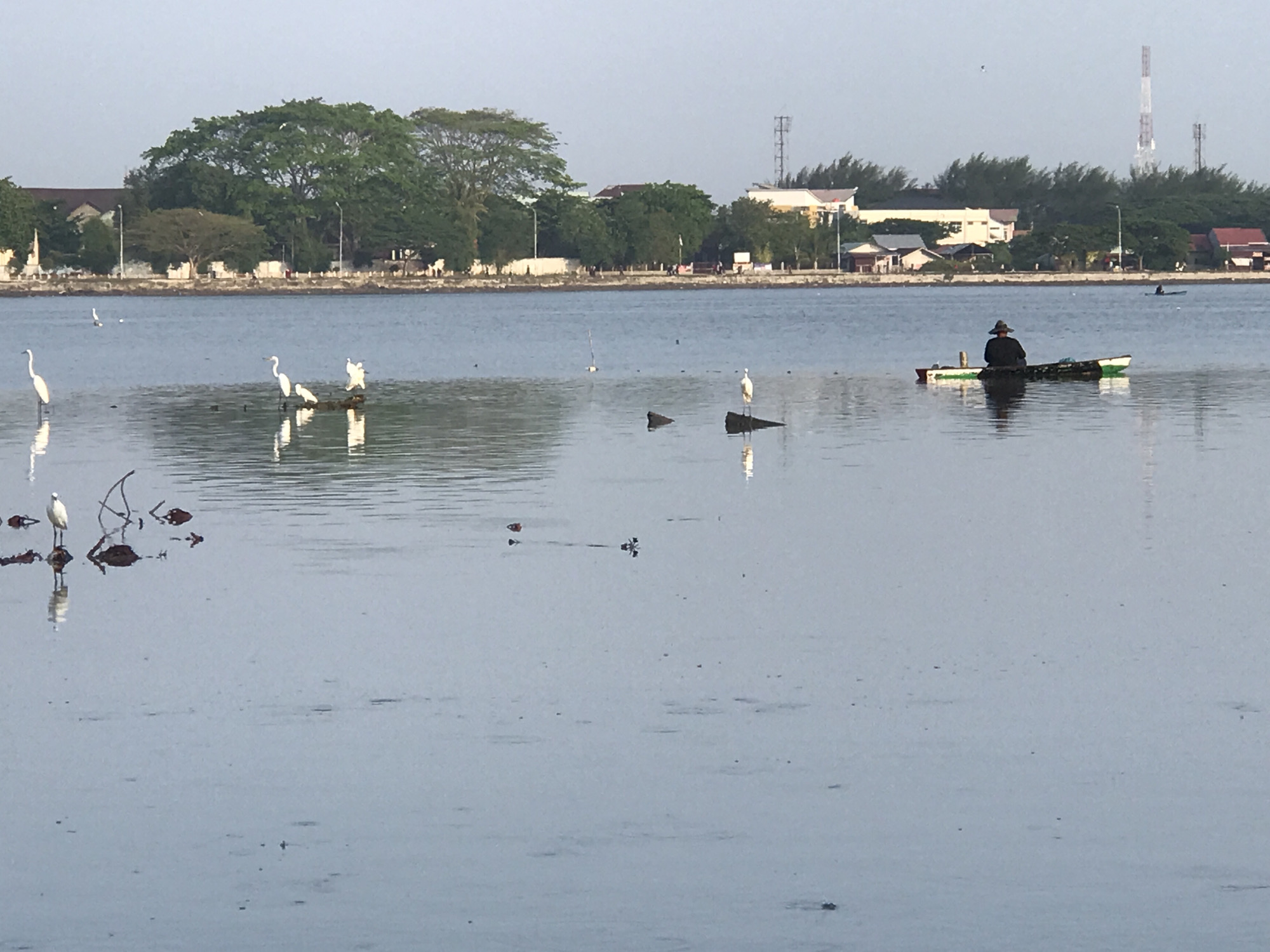 The image captures a serene scene at a coastal location in Lhokseumawe, Indonesia. The foreground is dominated by a body of water, possibly a bay or lagoon, with a slightly disturbed surface. Several white birds, likely egrets, are scattered in the water, some standing on small debris or natural formations. A man is seated in a small boat in the water, further off in the distance. The background reveals a cityscape, consisting of buildings, trees, and utility structures, including a communications tower. The sky is overcast, casting a soft, diffused light across the scene. The water also reveals small bits of debris or sediment.