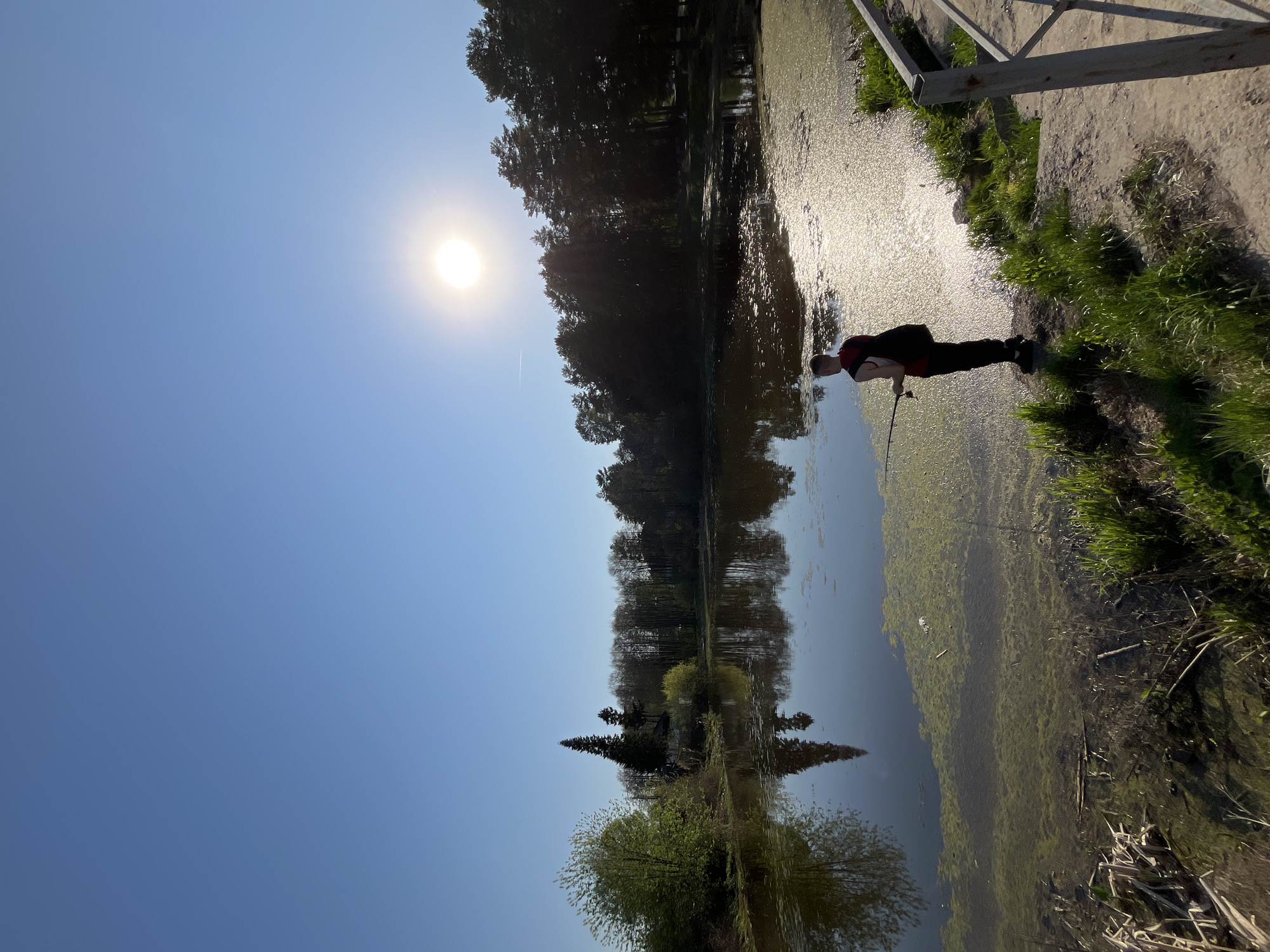 A medium, outdoor shot, rotated to the right, depicts a person fishing from the bank of a body of water on a sunny day. The person, facing left, holds a fishing rod. The water is covered in algae near the bank. Trees line the opposite shore, their reflections visible in the water. The sun shines brightly in the upper left corner of the image, in a clear, blue sky. The location is Chaikovsky, Russia.