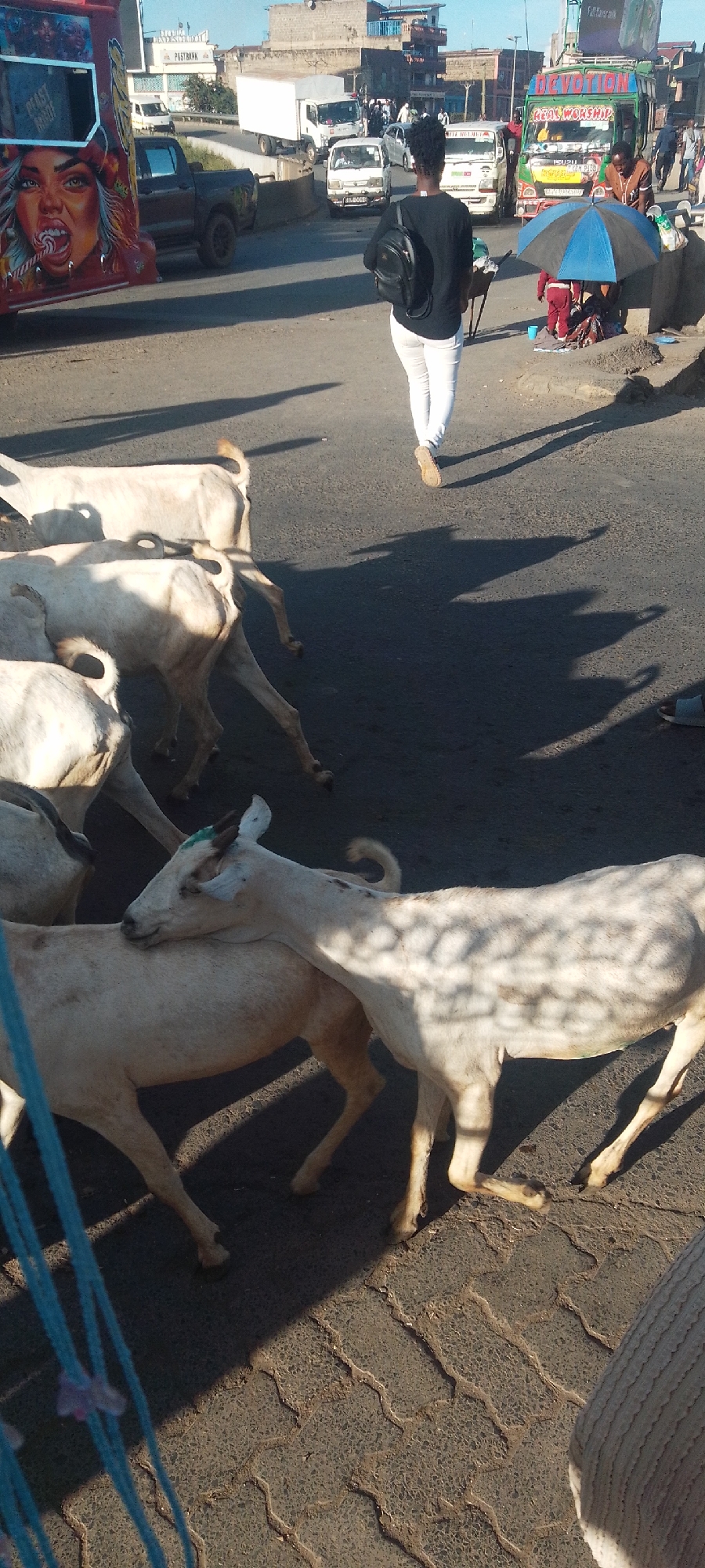 The image shows a group of goats crossing a road in Nairobi, Kenya. The goats are mostly white, with some having spots. A woman wearing white pants and a black shirt is walking on the side of the road, away from the goats. In the background, there are several vehicles, including minibuses with distinctive decorations. A blue umbrella and other people are visible on the roadside. The road is paved, with some sections made of interlocking bricks. The background also shows buildings and other infrastructure typical of an urban environment in Nairobi.