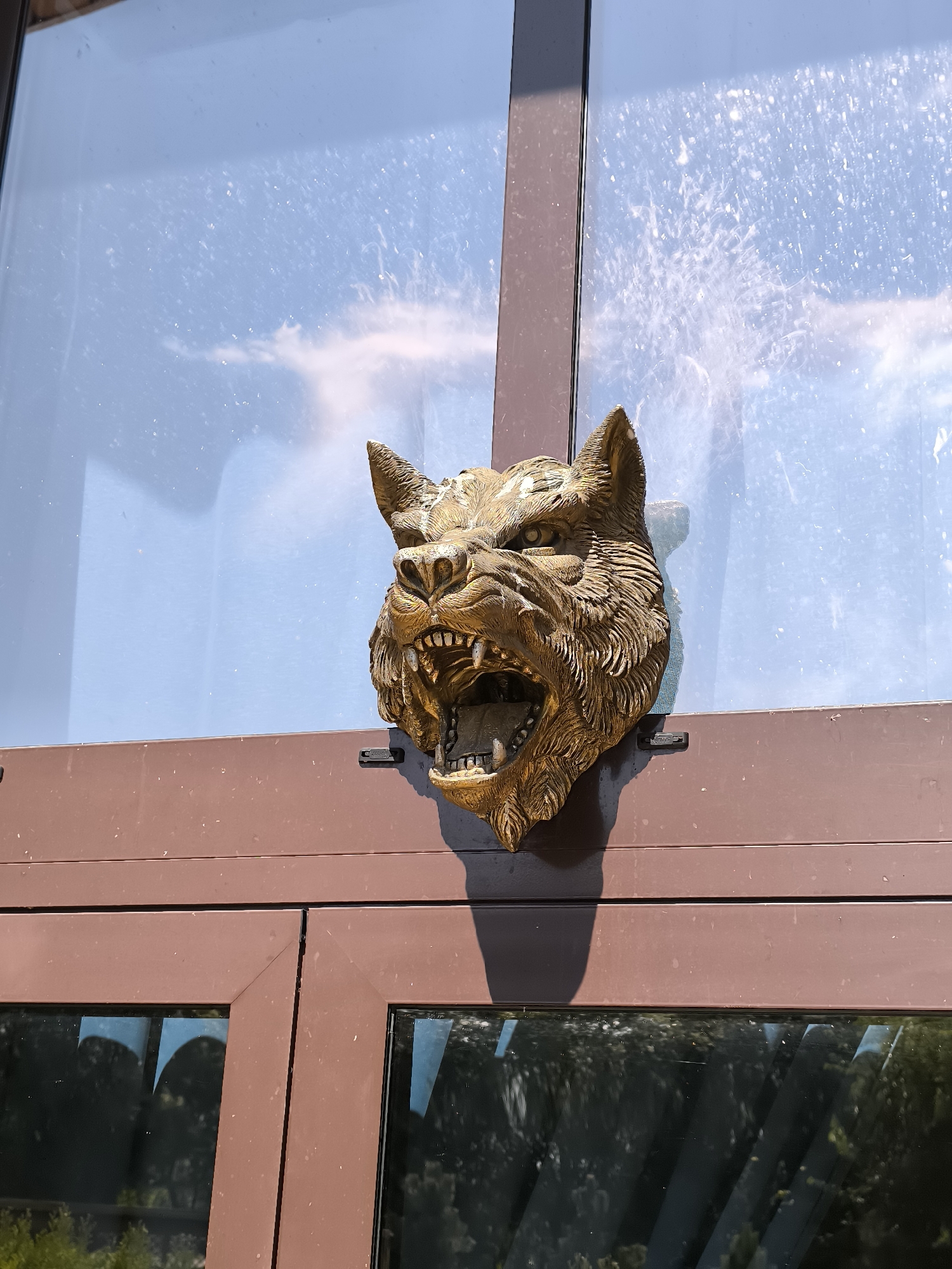 An outdoor shot shows a bronze wolf head sculpture attached to a brown-framed glass door. The wolf's mouth is open, revealing sharp teeth and a textured tongue. The sculpture is mounted on the upper section of the door, which is divided into two panels. The glass reflects a bright blue sky with scattered clouds. The lower part of the door is also visible, with tinted glass showing reflections of trees and greenery. The scene appears to be outdoors during daylight. The location is Malyy Baklaniy, Russia.