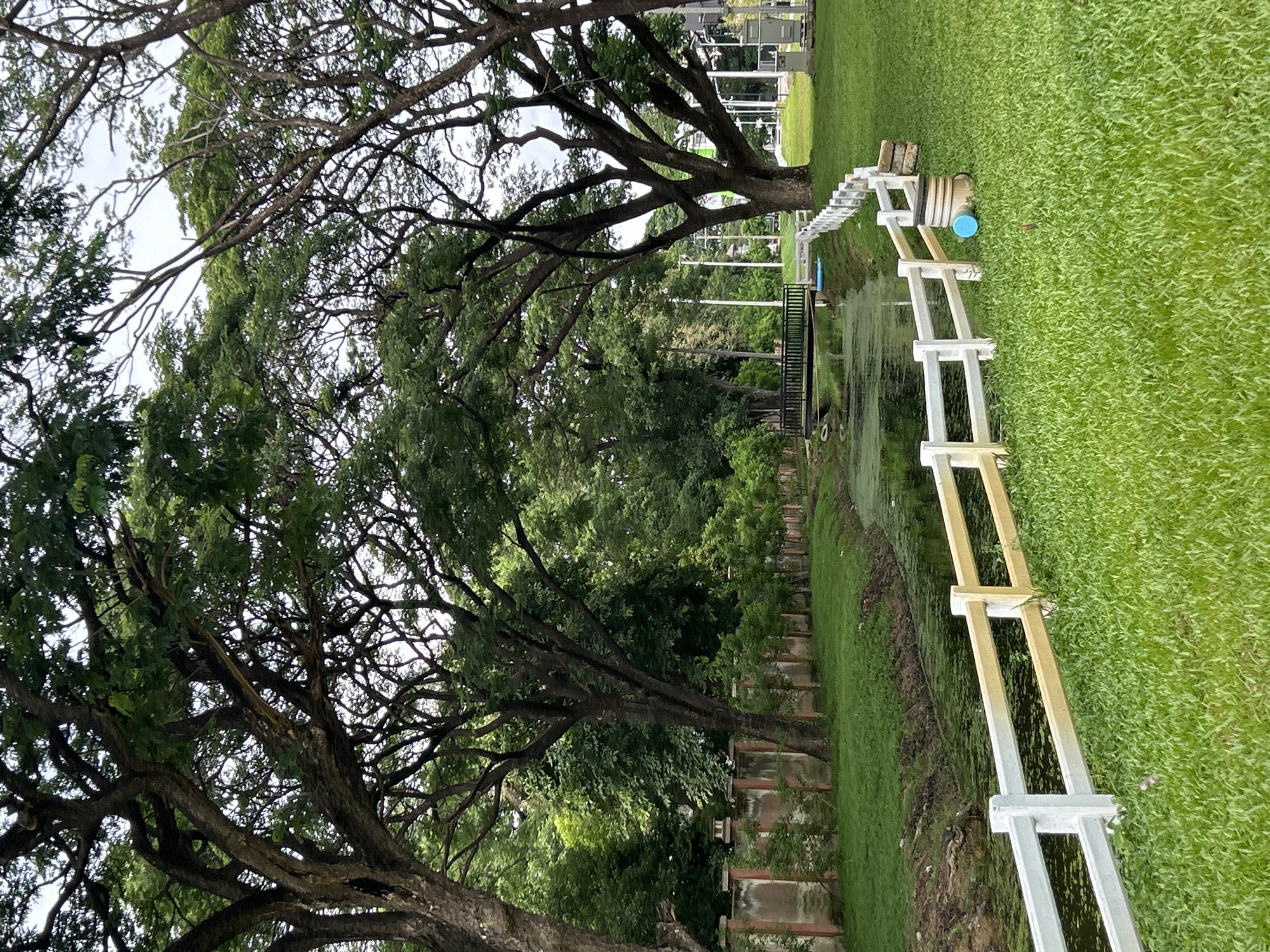 The image depicts a scenic canal bordered by lush green grass and mature trees with sprawling branches. A white wooden fence runs along the edge of the grass, separating it from the canal. On the far side of the canal, a concrete wall with decorative pillars is visible, with more trees and vegetation beyond. A small, dark bridge spans the canal in the middle ground, leading to a path on the other side. In the foreground, a white and yellow fence curves along the grassy bank. A blue cylindrical object and some stacked bricks are situated next to the fence on the right side of the image. The sky is overcast, suggesting a temperate climate. The overall impression is one of a well-maintained park or garden area within an urban setting. The presence of a canal and abundant greenery suggests it could be a public park or recreational area in Chiang Mai City Municipality, Thailand.