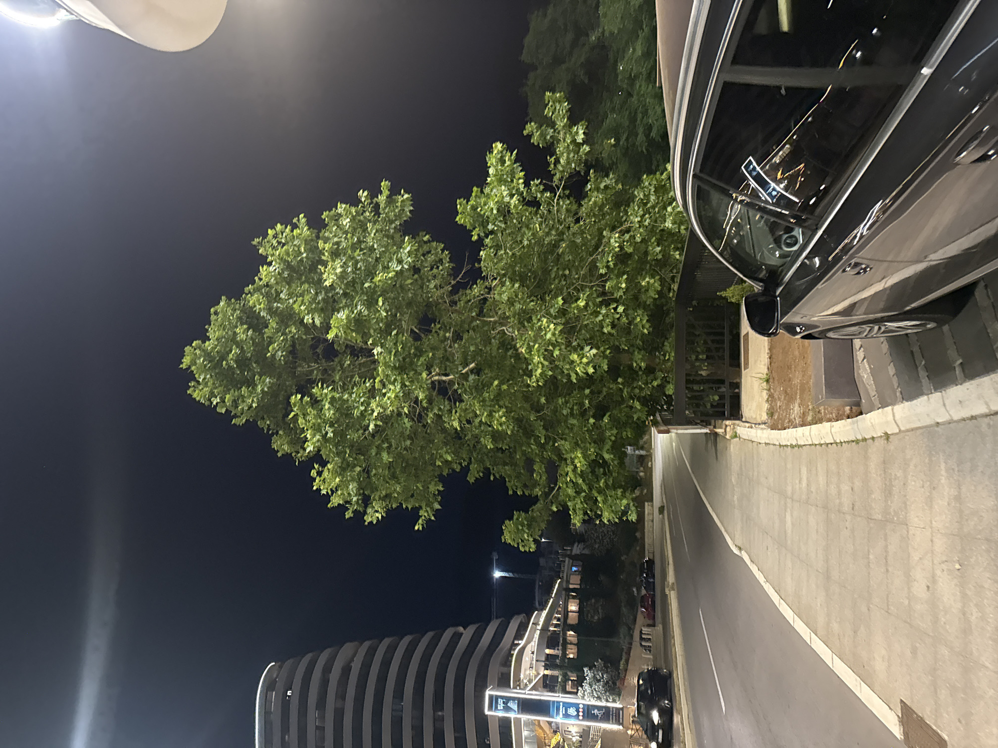 An outdoor, nighttime street-level view shows a large, leafy tree on the right side of the image. The tree's branches extend across the upper portion of the frame. To the left of the tree, a modern, curved, multi-story building with horizontal banding is visible. Below the building, the facade of a structure with illuminated signage and multiple levels of balconies or terraces is seen. A street with a white lane marking runs horizontally across the lower left of the image, with a black car driving on it. A paved sidewalk runs parallel to the street. In the foreground on the right, the side of a dark-colored car is visible, parked. The sky is dark, with some subtle light streaks near the top left, possibly from streetlights or atmospheric conditions. The overall setting appears to be urban, likely in the city of Boreti, Montenegro, given the context. There are no visible people.
