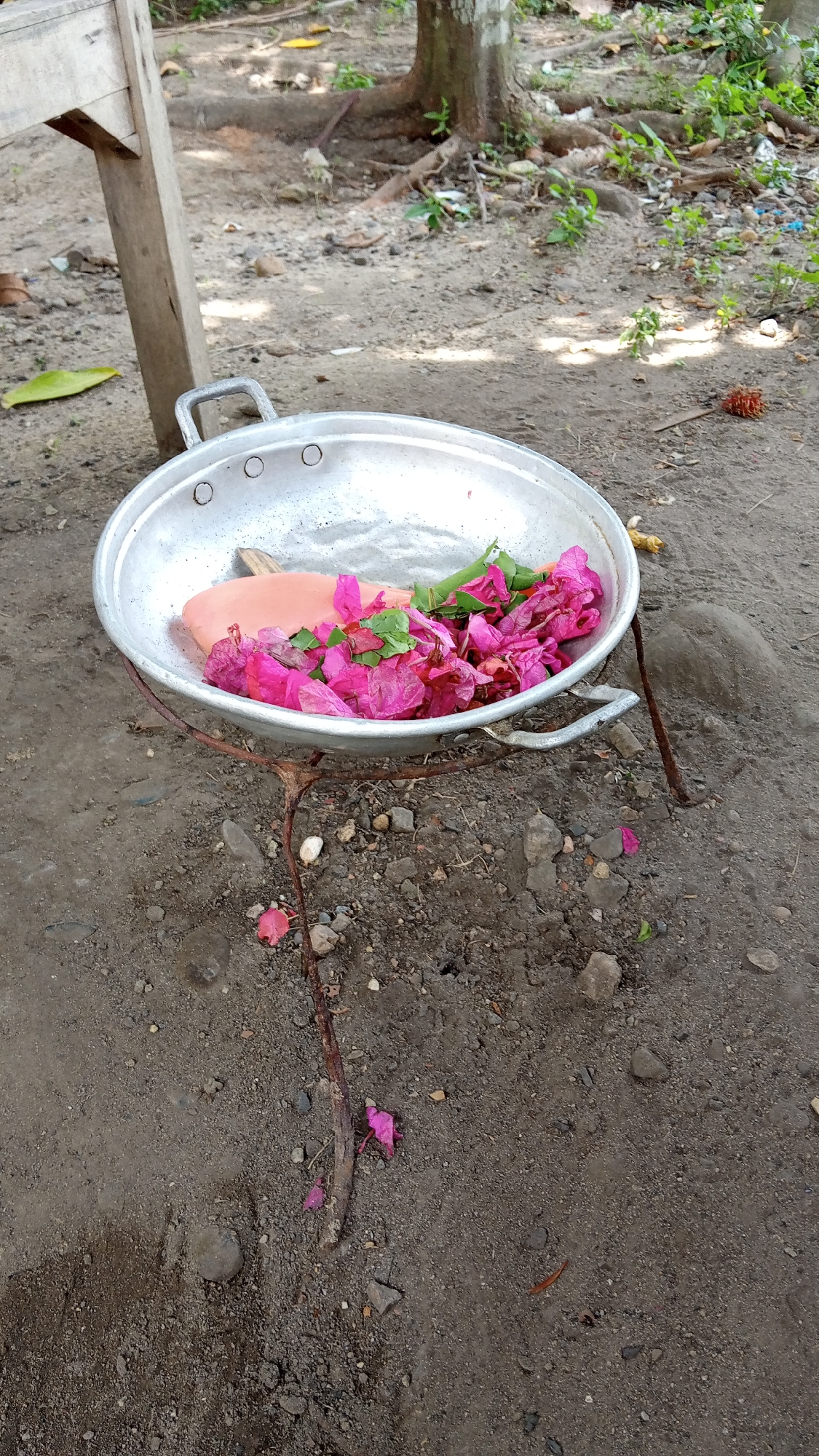 An outdoor scene in the city of Kebonbaru, Indonesia depicts a metal pan filled with pink flowers and a pale pink object, possibly food, resting on a rustic metal stand on the ground. The ground is a mixture of dirt and small stones, with scattered leaves and debris. In the background, a wooden structure and a tree with exposed roots are visible. The overall environment suggests an unpaved, possibly rural or semi-urban area. No people are present in the frame.