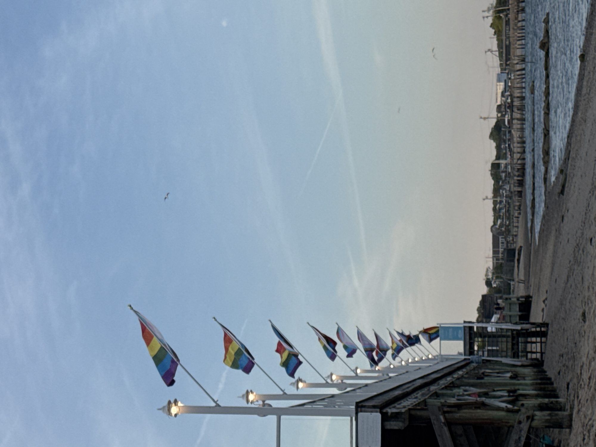 This media file captures a serene coastal scene, likely oriented as a landscape image despite its current rotation. The primary subjects are a row of classic rainbow LGBTQ+ Pride flags, attached to poles that extend from a wooden pier or boardwalk. These flags are gently waving, suggesting a light breeze.
The scene is set during late afternoon or early evening, evidenced by the sky's gradient: a light blue with wispy clouds and faint contrails on the left, transitioning to a warmer, hazy grey-orange towards the right horizon. Several small birds, likely gulls, are visible flying in the expansive sky.
The wooden pier, equipped with light fixtures that illuminate the flags from below, stretches across the midground. To the right of the pier, a sandy beach runs alongside calm, dark blue water. Beyond the water, a distant coastline is visible, featuring various buildings and green foliage, indicative of a coastal town. The location context of Provincetown, United States of America, strongly aligns with the presence of the Pride flags and the coastal setting.
The activity depicted is minimal, primarily the flags swaying and birds flying. The overall atmosphere is peaceful and welcoming. There appears to be a small sign on the pier structure, but the text is indistinct and not readable.