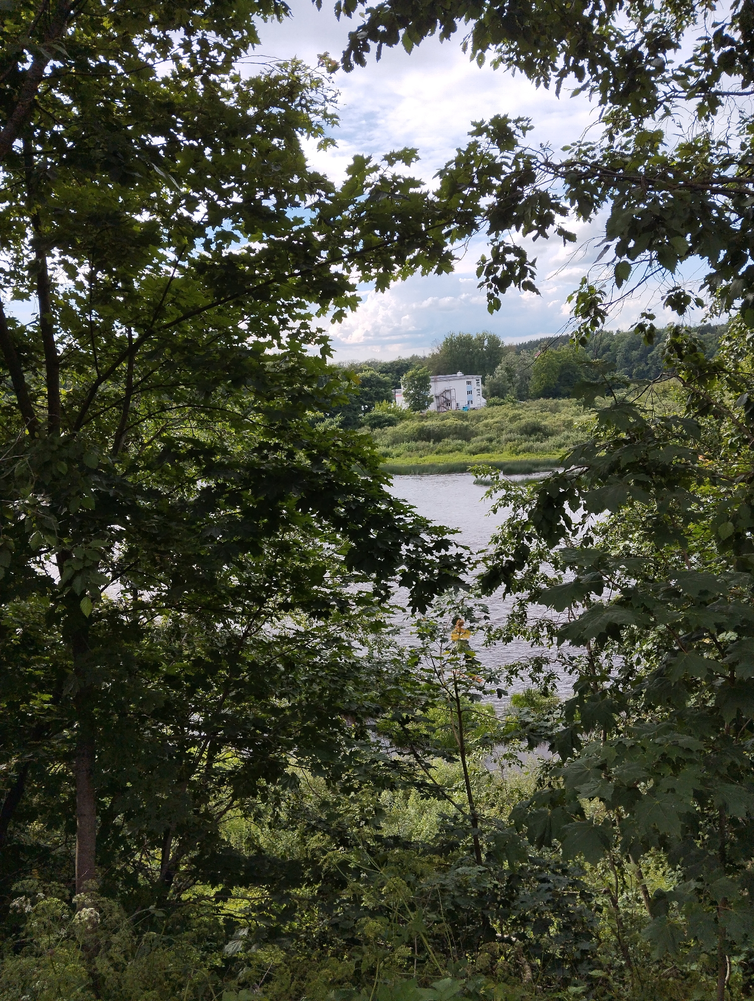 The image depicts a serene natural landscape with a body of water in the mid-ground, bordered by lush greenery and trees. In the distance, a white building with multiple windows is visible atop a gentle slope, surrounded by dense foliage. The sky above is partially clouded, suggesting fair weather. The foreground is dominated by the branches and leaves of trees, creating a natural frame for the scene. The overall impression is one of a tranquil, picturesque setting, likely a park or a riverside area within the city of Kingisepp, Russia.