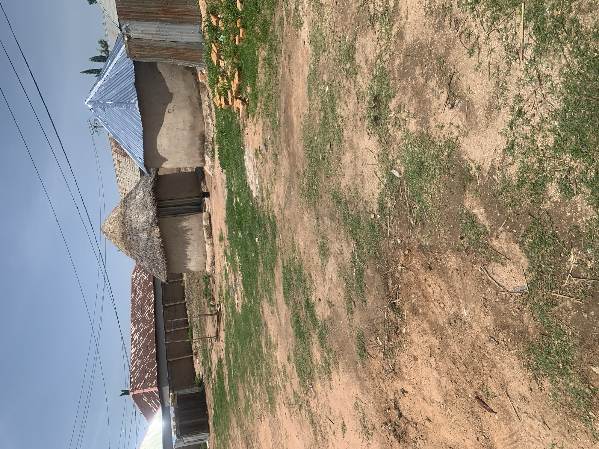 In Jauro Yinu, Nigeria, a scene unfolds under a bright, clear sky, showcasing a collection of dwellings. Dominating the center of the frame are two round, mud-built huts; one topped with a conical thatch roof and the other with a more modern, sloped roof constructed from light blue corrugated metal. To the left, a long, rectangular building with a red corrugated metal roof is visible, partially obscured by a smaller, unfinished structure with a green roof. The ground is a mixture of reddish-brown soil and patches of sparse green grass. In the foreground, the unpaved earth is uneven, with scattered debris like twigs and small stones. To the right of the huts, a pile of light brown bricks sits on the grassy ground, suggesting ongoing construction or repair. The background features a thin line of trees and utility poles with overhead wires, indicating the presence of infrastructure. The overall impression is one of a rural or semi-urban settlement, likely a village or a less developed part of a town.