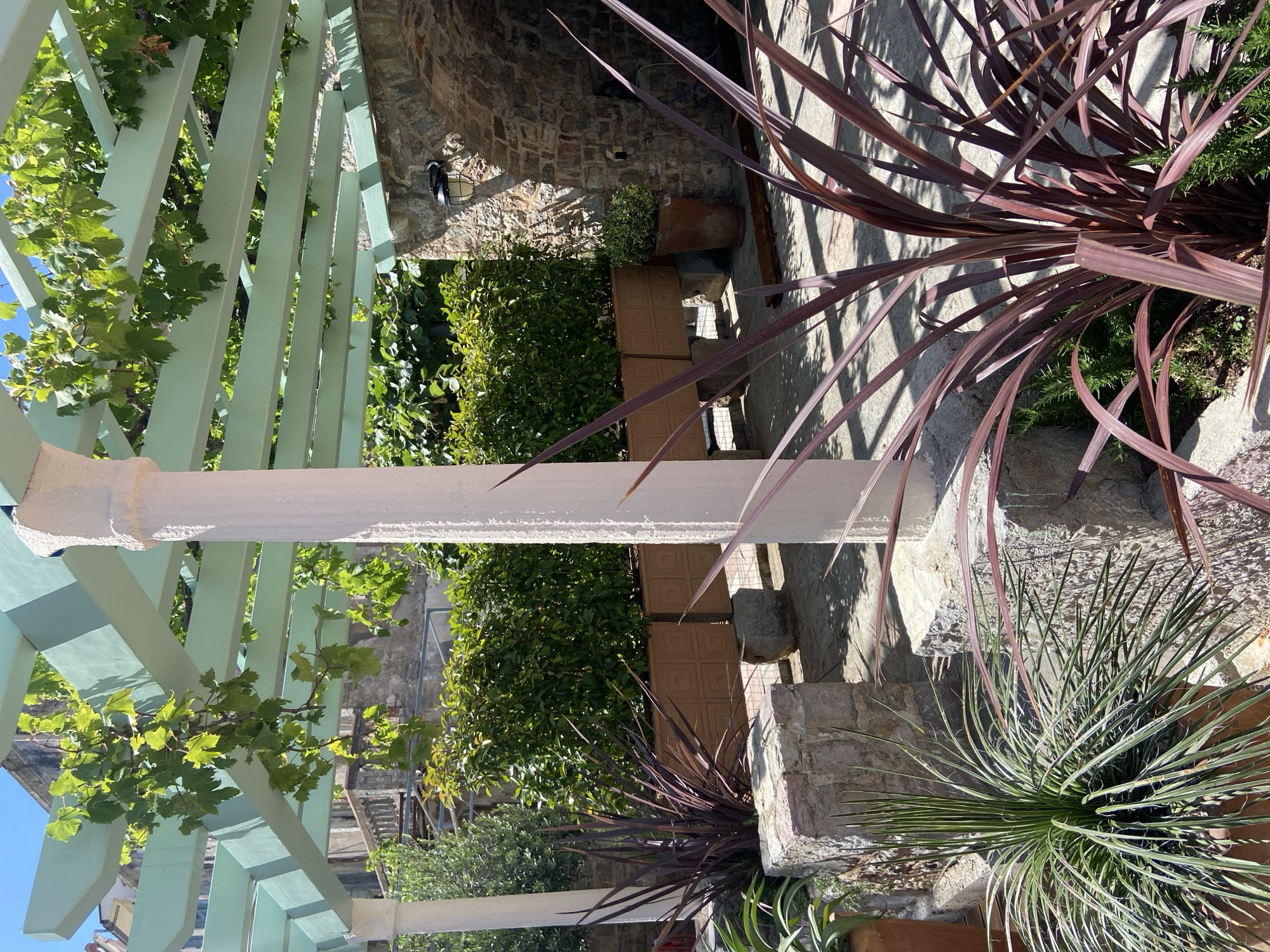 The image depicts an outdoor patio area with a light blue wooden pergola covered in green vines. A thick white column supports the pergola on the left side. In the foreground, several plants are visible, including a spiky green plant in a terracotta pot on the left and a plant with long, burgundy-colored leaves in the lower right quadrant. Behind these plants, stone walls and planters filled with dense green foliage line the space. A rustic stone wall with a light fixture is visible on the right side of the image. The ground is paved with concrete slabs. The scene suggests a tranquil outdoor seating area, possibly part of a residential property or a restaurant in Petrovac centar, Montenegro, characterized by its Mediterranean vegetation and stone architecture. The sky is clear and blue, indicating a sunny day.