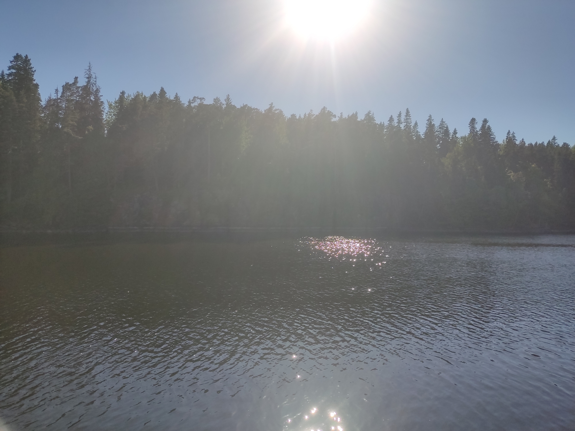 The image depicts a bright, sunlit natural landscape in Valaam, Russia. A large body of dark, rippled water occupies the foreground and midground. The water's surface reflects numerous bright, shimmering specular highlights, predominantly in the center-right and bottom-center areas, indicating light waves or ripples. A dense, dark green forest covers the distant shoreline, spanning the entire width of the image. The trees, primarily conifers, appear somewhat obscured by atmospheric haze and lens flare from the sun. The sky above the forest is clear and bright blue, with a prominent, intensely bright sunburst located in the upper center, emitting distinct rays of light that cast a strong glare across the upper and middle portions of the scene. No individuals, animals, or man-made structures are visible.