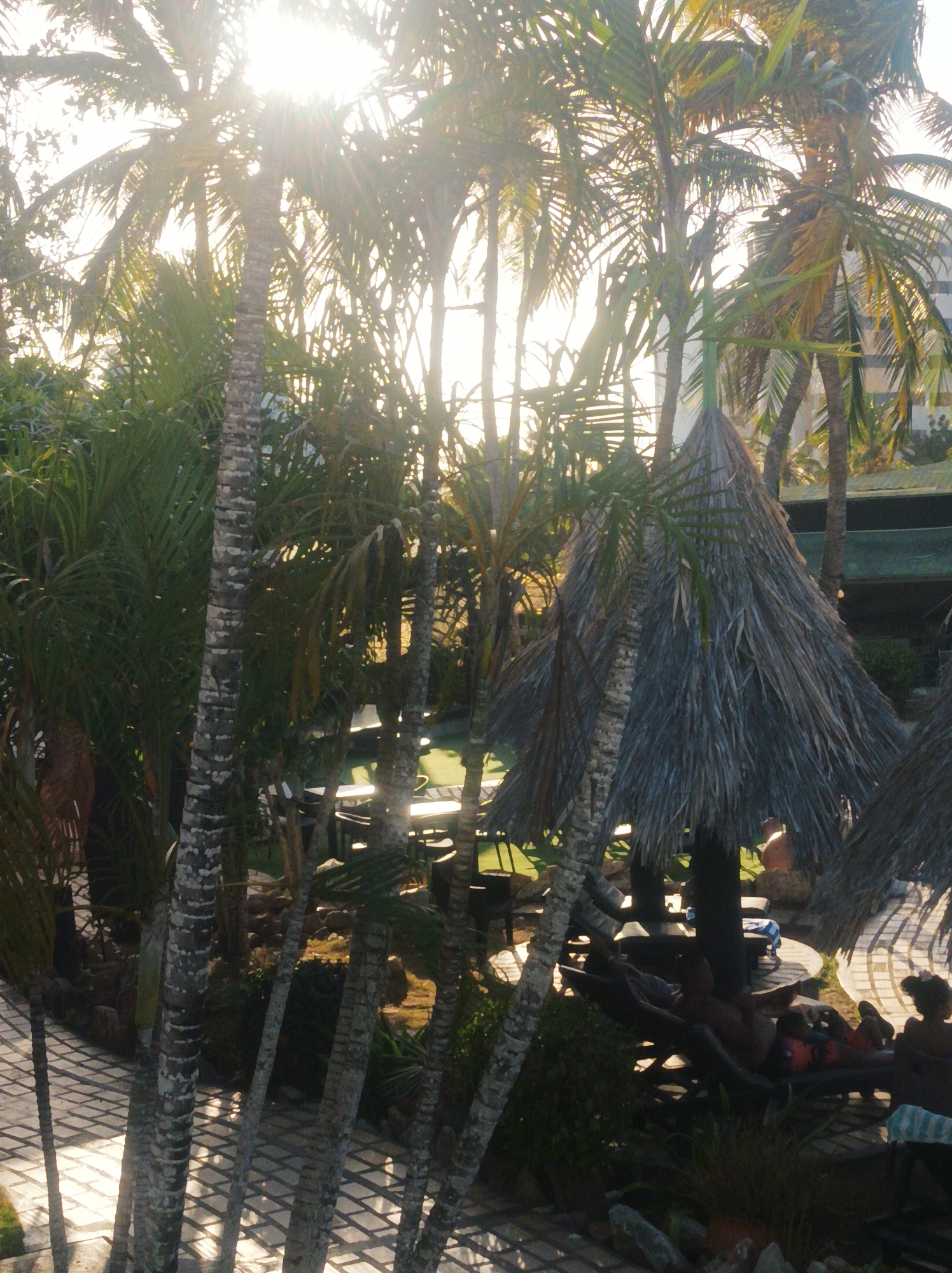 A daytime, outdoor shot features a resort or leisure area, possibly in the city of Porlamar, Venezuela, judging by the tropical setting. The scene includes palm trees of varying heights, interspersed with straw parasols that provide shade over lounge chairs. These structures suggest a relaxed, vacation atmosphere.
A paved path is visible in the foreground, while behind the palm trees and sunshades, there appears to be a pool and possibly some seating or dining areas. Several people are seen lounging in chairs under the straw parasols, suggesting relaxation. The sun is bright, positioned high in the sky, and partly obscured by the palm trees, creating a strong contrast in lighting. The overall impression is one of a tranquil and sunny tropical resort.