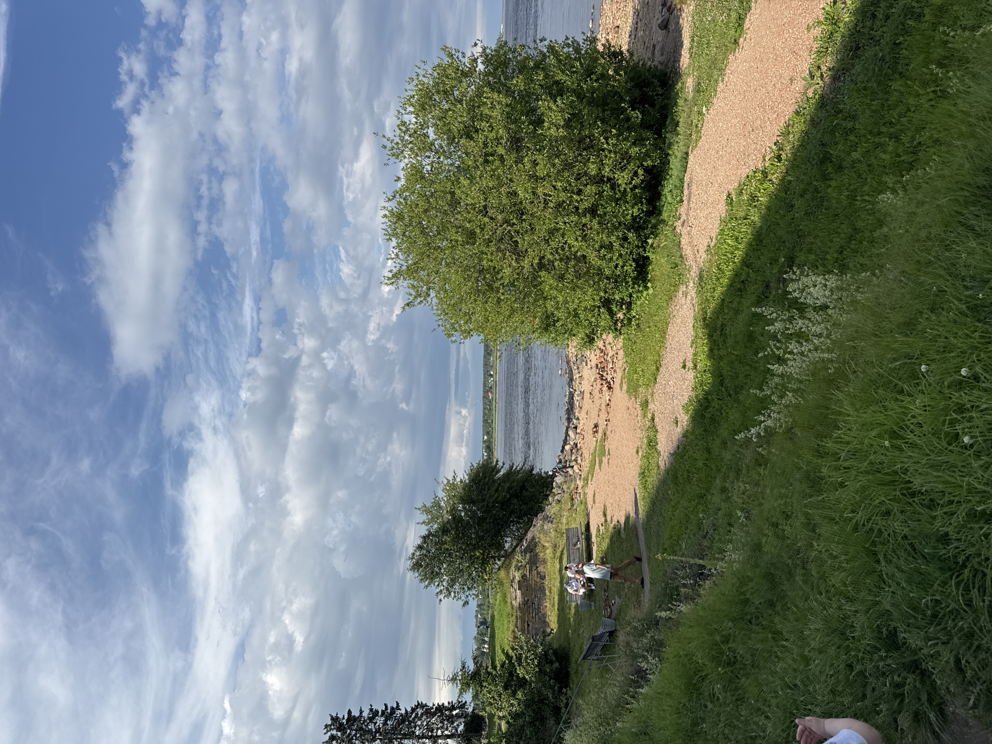 This image depicts a scenic view from a grassy hilltop overlooking a body of water, likely a river or bay, in Shlisselburg, Russia. The scene is bathed in the bright light of what appears to be late afternoon, with long shadows cast across the path. The sky is a vibrant blue, adorned with dramatic, wispy clouds that suggest fair weather.
In the foreground, a gravel path winds its way down the grassy slope. The grass is lush and green, with some wild white flowers scattered throughout. A large, leafy tree stands prominently on the left, its branches reaching towards the water. Below the hilltop, near the water's edge, a small group of people is visible. They appear to be engaged in conversation or relaxing, with one person seated on a bench and others standing. Two dark metal benches are also visible in the grassy area.
The water itself is calm, reflecting the sky and the distant shoreline, which shows some buildings and trees. The background is a hazy panorama of the landscape. The overall mood of the image is peaceful and idyllic, capturing a serene moment in a natural setting. There is no visible text in the image.