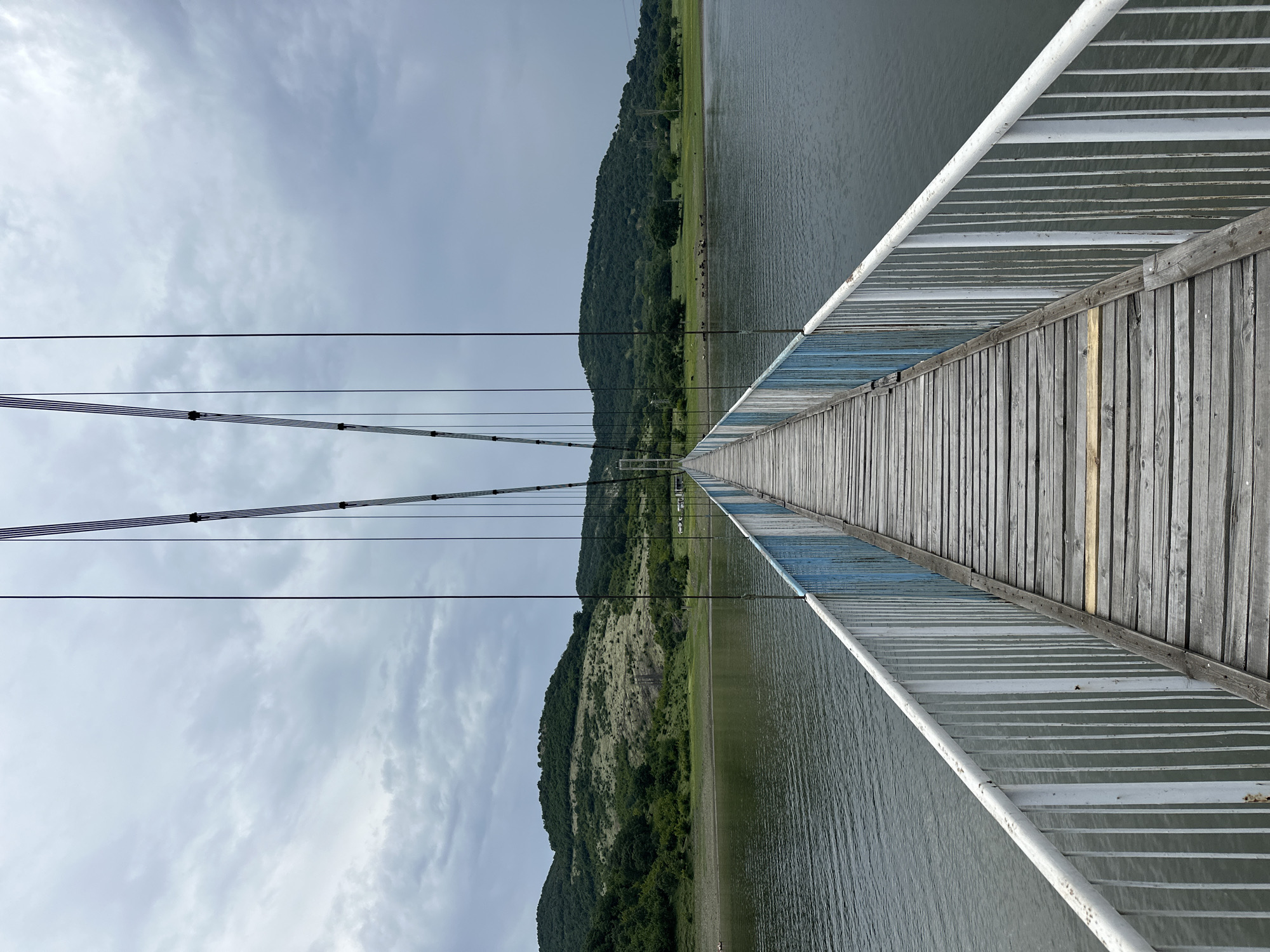 The image depicts a straight-on, eye-level view from the entrance of the Lisitsite suspension bridge in Bulgaria, looking towards the opposite bank. The bridge features a wooden plank walkway with weathered grey boards, some showing newer, lighter wood replacements. White and faded blue metal railings line both sides of the bridge, with the blue section appearing further along. Above, multiple dark suspension cables converge towards the distant center, anchored by vertical supports.
The bridge spans a calm, dark grey body of water, likely a reservoir or lake. The immediate shoreline on both sides is muddy and green with sparse vegetation. The surrounding landscape consists of undulating hills covered in a mix of dense green forest and lighter green/tan grassy patches under a heavily overcast, grey sky.
On the left bank, a verdant hillside rises, with some brown, possibly eroded or rocky areas. A small, light-colored object, possibly a boat or raft, is faintly visible near the left shoreline in the mid-distance. On the right bank, a flat, grassy area extends from the water's edge, where a herd of approximately a dozen small, light-colored animals (likely sheep or goats) grazes. Trees are scattered along the right bank, and faint structures resembling utility poles are visible in the far distance against the horizon. No human figures are present.