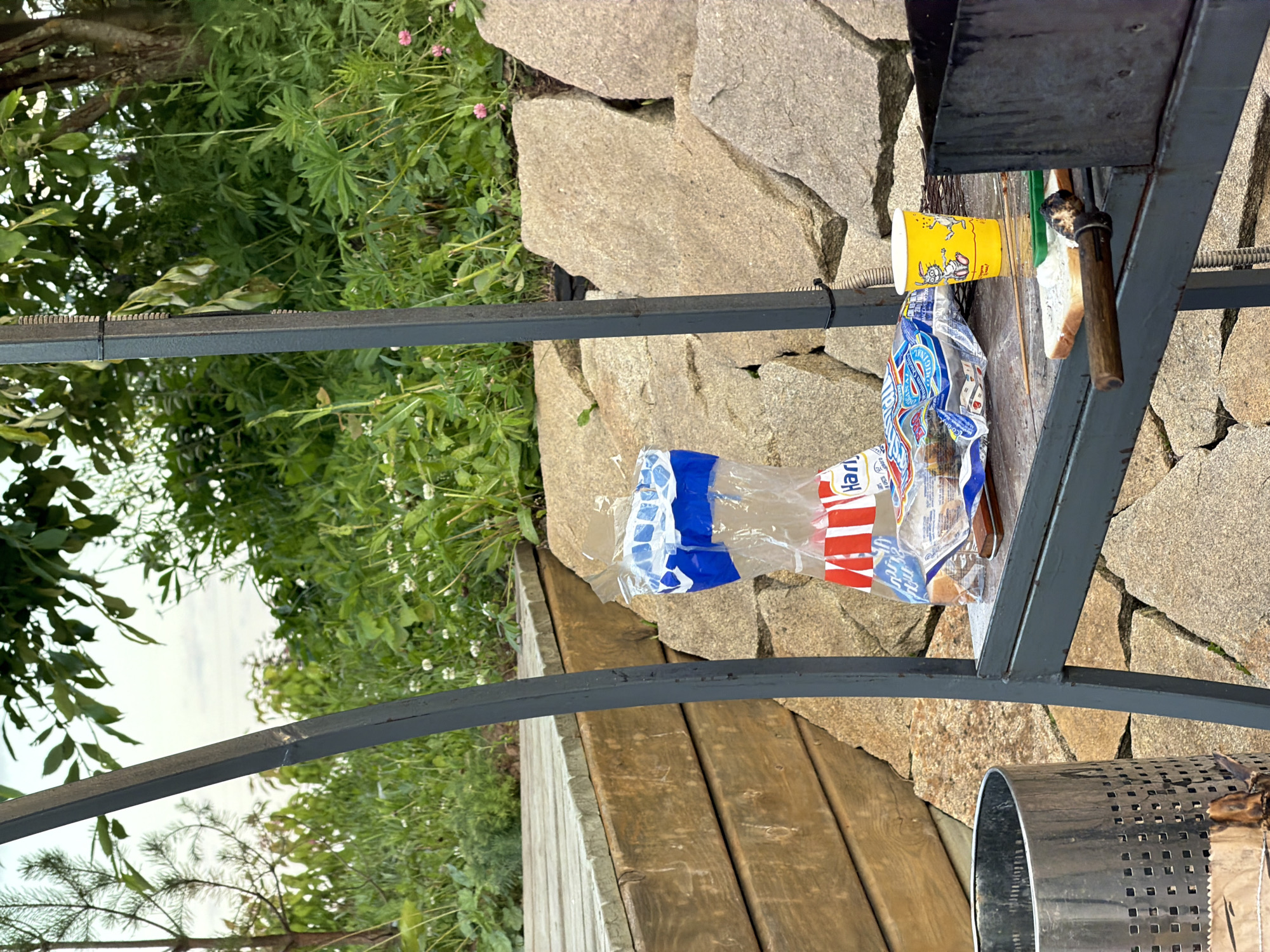 The image depicts an outdoor scene with a close-up view of some discarded items. The primary subjects are various pieces of trash, including a crumpled plastic bottle with blue and white banding, a yellow paper cup with cartoon drawings, and a fragment of bread. These items are resting on a metal structure, possibly part of an outdoor grill or seating area.
The setting appears to be a garden or yard with lush green foliage in the background, suggesting a natural environment. Large, rough-hewn stones form a textured surface behind the metal structure, and wooden planks are visible below, adding to the outdoor aesthetic. The lighting suggests it is daytime, with natural light illuminating the scene.
There is no clear indication of a specific activity or event taking place, other than the presence of discarded items, implying casual outdoor use of the area.
Notable details include the design on the yellow cup, which features cartoon characters. The metal structure itself is utilitarian and shows some signs of wear. The overall impression is one of an outdoor space that has been recently used and is now a bit untidy.
There is some visible text on the plastic bottle, appearing to be part of branding or labeling, but it is mostly obscured or unreadable. The yellow cup also has some writing on it, likely related to its original purpose. The location context is Bol'shaya Ven'ya, Russia.