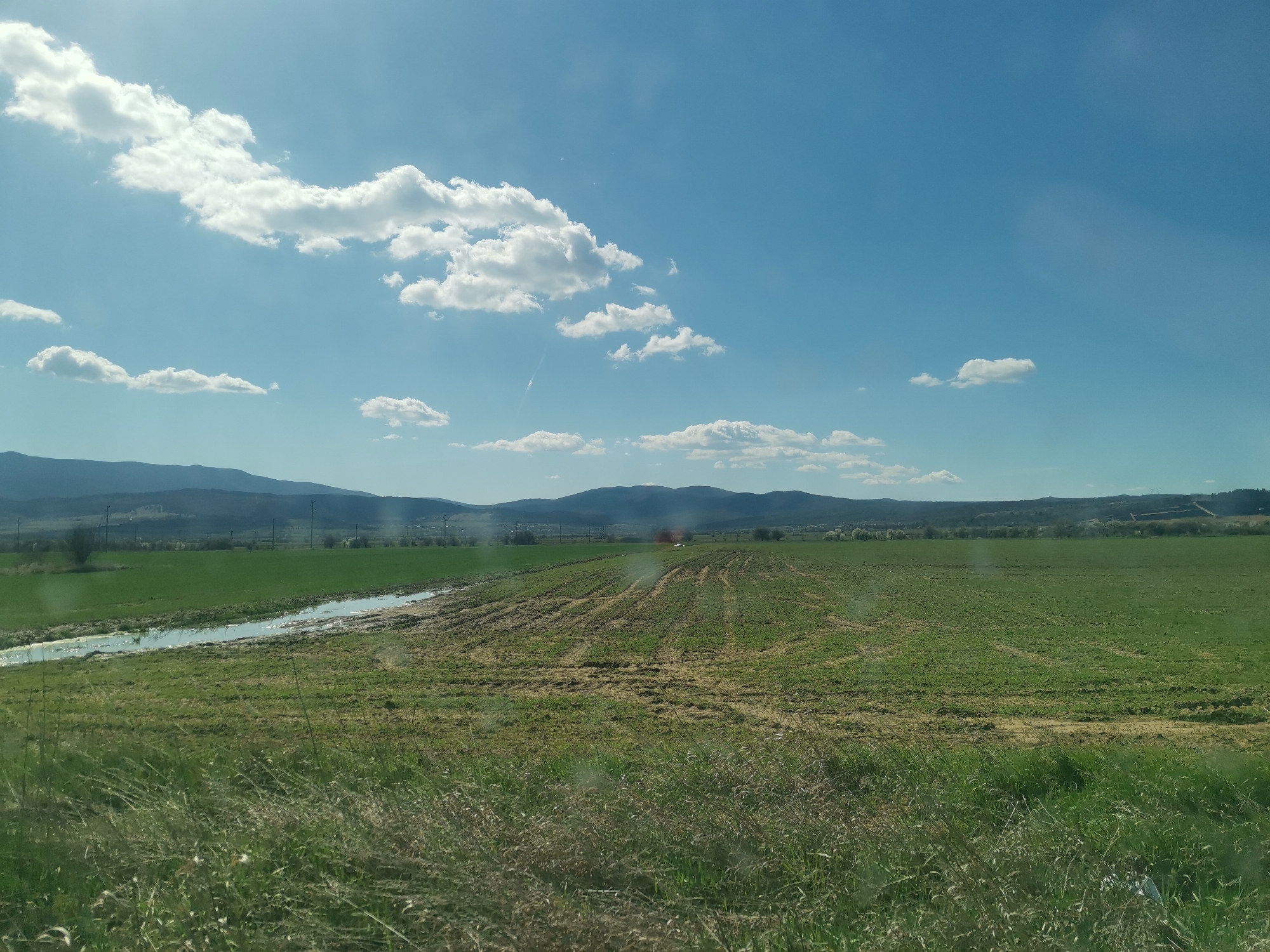 The image presents a rural landscape under a bright, slightly hazy blue sky with scattered cumulus clouds. In the background, a range of low mountains is visible.
The foreground is dominated by a green field, displaying variations in texture and color. Some sections appear lush and uniformly green, while others exhibit patches of disturbed soil, marked by visible tracks, possibly from agricultural machinery. A narrow, irregular water channel cuts across the field in the near left.
In the very foreground, tall grasses are present, slightly obscuring the view of the field and suggesting the image was taken from a low vantage point. The overall scene conveys a sense of open space and agricultural activity. The location is identified as being in or near Verinsko, Bulgaria, based on information provided. No people, specific subjects, or interactions are directly visible in the image.