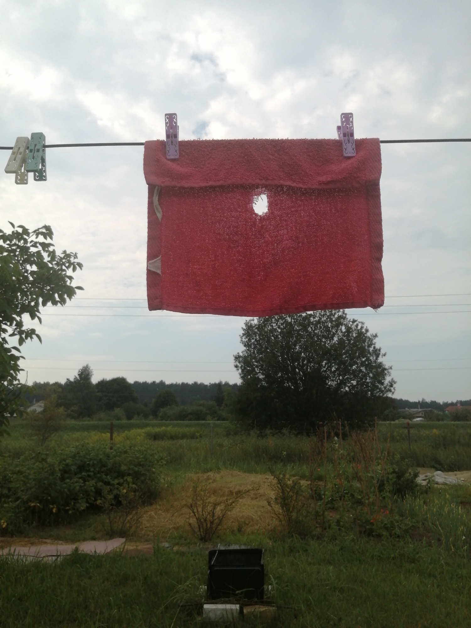 The image depicts a red towel, likely a bath towel or beach towel, suspended horizontally on a clothesline. The towel appears to be made of a coarse, textured material and has a prominent, irregularly shaped hole in its center. It is secured to the clothesline by two purple clothespins on the right side. To the left of the towel, three green and white clothespins are also attached to the same line, though they are not actively holding the towel. The background is an overcast sky with scattered clouds. Below the clothesline, a natural landscape unfolds, characterized by dense green foliage, trees, and a field of dry grass. In the distance, a line of trees forms a treeline, with hints of buildings suggesting a rural or suburban settlement. A black object, possibly a small bin or container, is partially visible in the lower right foreground, resting on grass. The overall scene suggests an outdoor setting, likely a backyard or a common area for drying laundry, with the landscape elements pointing towards a location in the vicinity of Slonim, Belarus. There are no people or animals visible in the image.