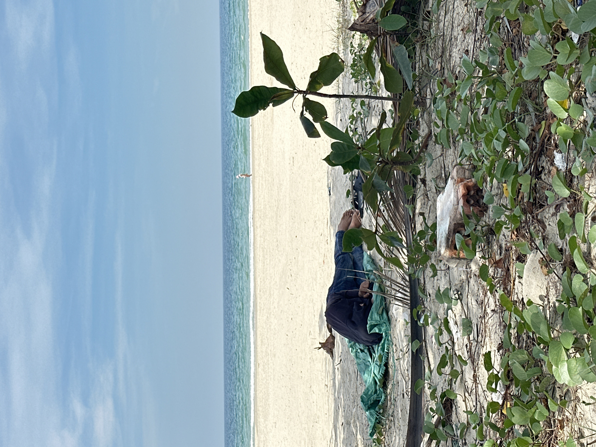 The image depicts a beach scene on a sunny day with a person sleeping on the sand. The individual, dressed in a dark blue top and jeans, is lying on their stomach on a green tarp. Their face is hidden from view. A small dead branch is near their head. In the background, the ocean stretches to the horizon, with gentle waves breaking on the shore. A lone figure, possibly a child, can be seen walking on the beach in the distance. The foreground is covered with sand, scattered leaves, and low-lying green vegetation, suggesting a natural coastal environment. The scene is likely located on My Khe Beach in Đà Nẵng, Vietnam, a popular tourist destination known for its long stretches of sandy coastline.
