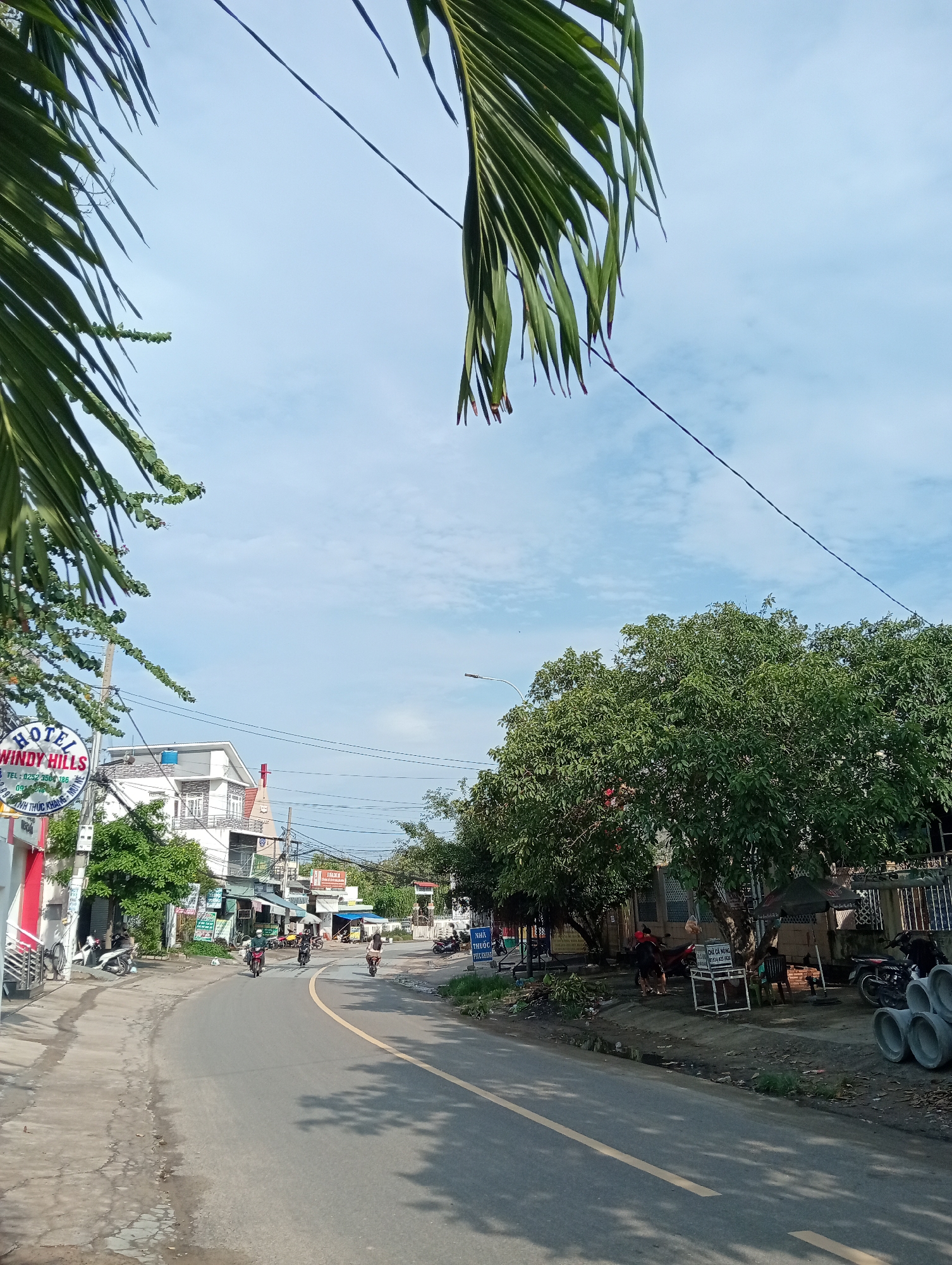 A daytime street scene unfolds in what appears to be a town or village, likely in Vietnam. A paved road with a central double yellow line curves into the distance, leading past various buildings and lush greenery under a bright blue sky with scattered white clouds.
On the left side of the road, a two-story building features a prominent red and white sign for "HOTEL WINDY HILLS." The sign also displays contact information: "TEL: 0232 3500 186" and "NINH THÚC KHÁNG - QUẢNG BÌNH". Several motorbikes are parked near this building, and one person is visible riding a motorbike further down the road. Another building with a distinctive cross-like structure on its roof is visible behind the hotel. Power lines crisscross above the street.
The right side of the road is lined with dense, leafy trees, providing shade. Beneath these trees, several people are gathered, possibly at a small roadside stall, where another sign reads "CHỈ CẢ NÔNG". A stack of large concrete pipes is visible on the far right. More motorbikes are present, both ridden by individuals in the middle of the road and parked near the roadside gatherings.
The top of the frame is bordered by large, green palm fronds, suggesting a tropical or subtropical environment. The clear sky and bright light indicate it is likely morning or early afternoon. The architecture, prevalence of motorbikes, and legible Vietnamese text confirm the setting in Vietnam, specifically hinted at Quảng Bình province by the phone number. Daily life unfolds with people moving along the road and gathering casually.