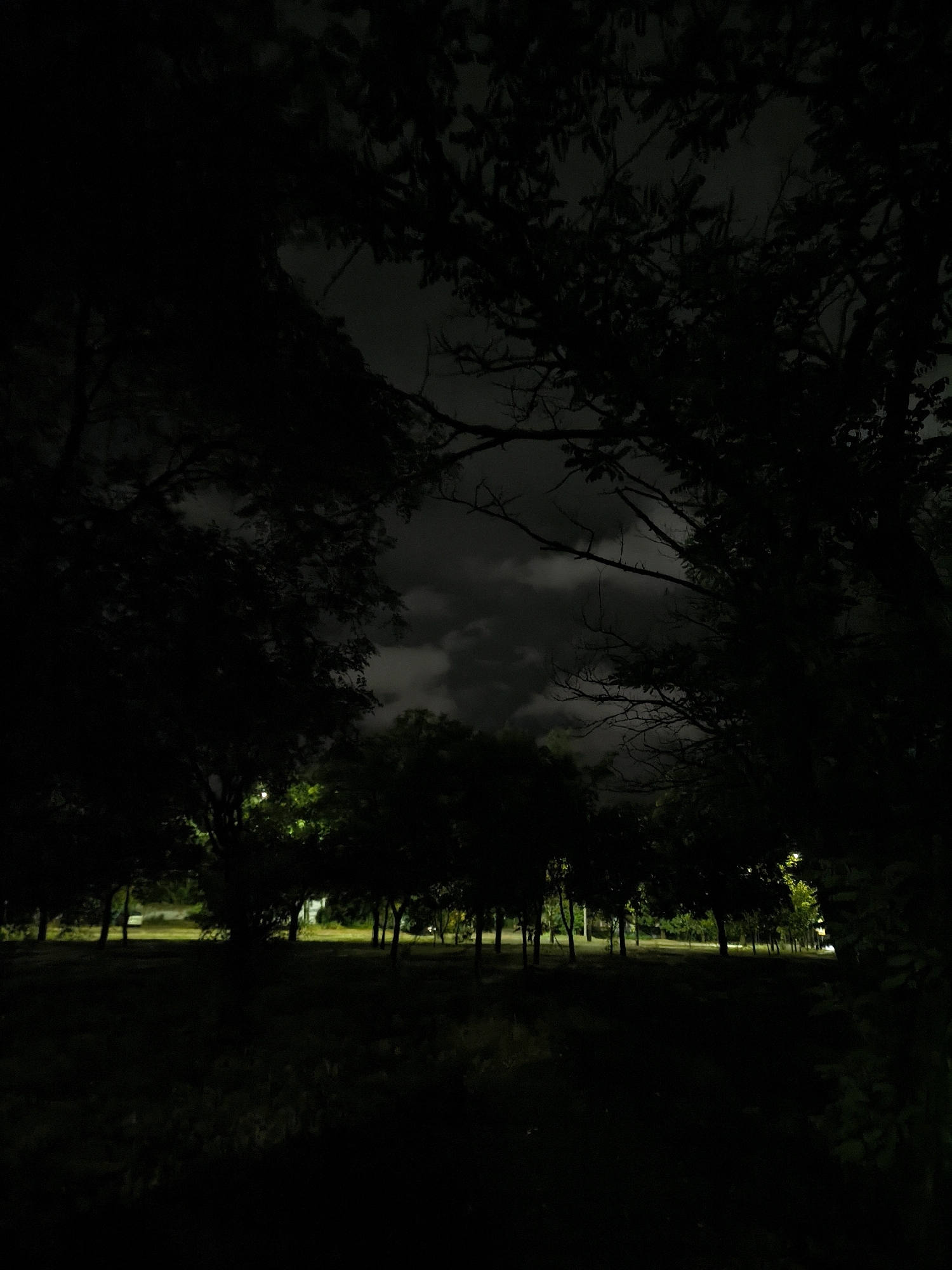 A nighttime photograph taken from a low angle depicts a dark, wooded area with a dimly lit path or clearing visible in the background. The foreground is dominated by silhouetted trees and foliage, casting deep shadows. The sky above is dark and cloudy. The scene is located in the city of Mykolaiv, Ukraine.
