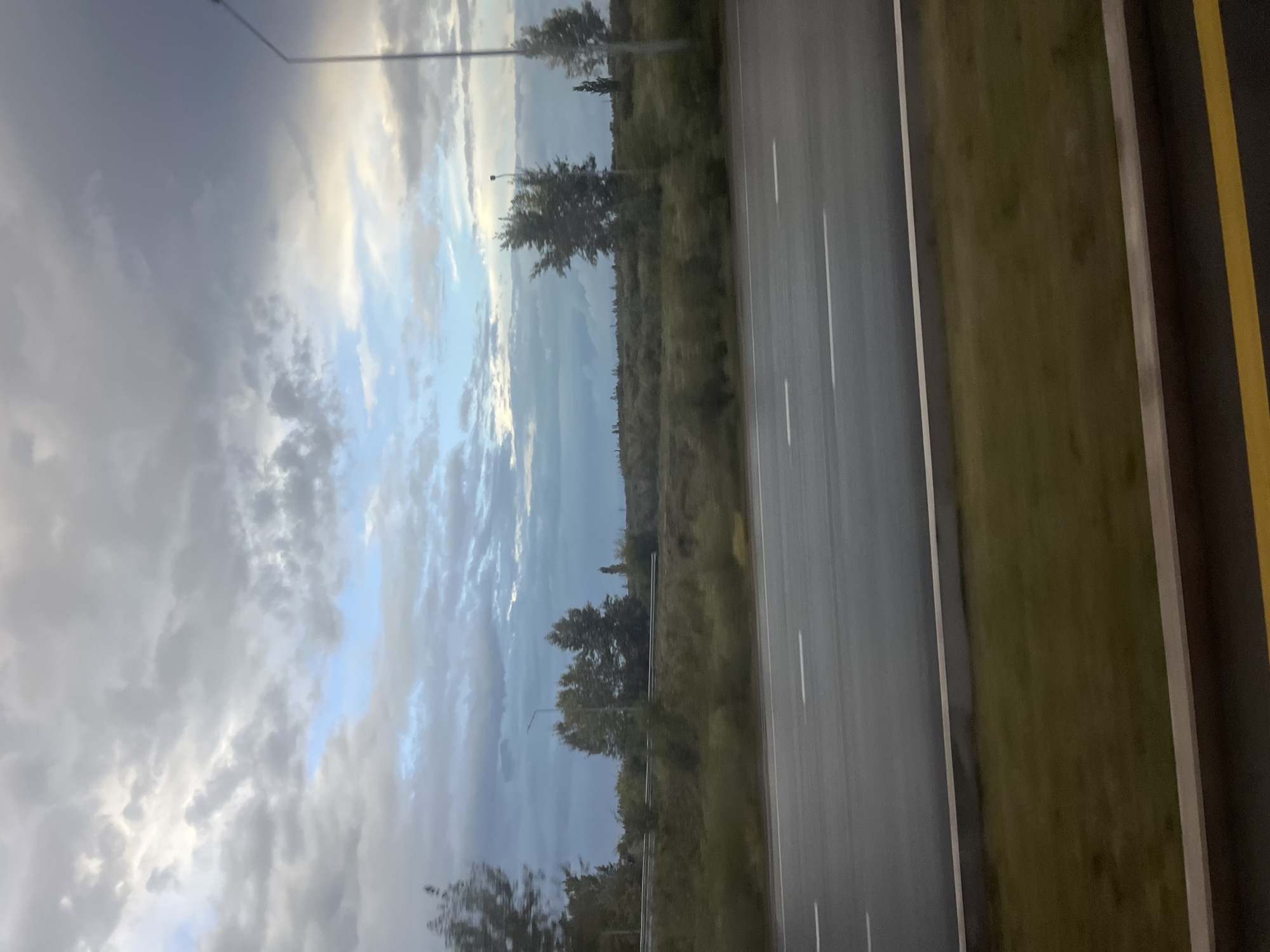 The image captures a roadside view, likely on the outskirts of Astana, Kazakhstan, under a dramatic sky filled with swirling grey and white clouds, with hints of blue sky peeking through. In the foreground, a wet asphalt road with white lane markings stretches horizontally across the frame. To the left and right of the road, green grass borders the pavement. Beyond the road, a landscape of low-lying vegetation and scattered trees is visible, interspersed with a few taller, slender trees. A metal guardrail runs along the edge of the road, separating it from the natural terrain. In the distance, a single lamppost stands tall on the right side of the image, its silhouette dark against the cloudy sky. The overall impression is one of a somewhat overcast, possibly post-rain, scene.