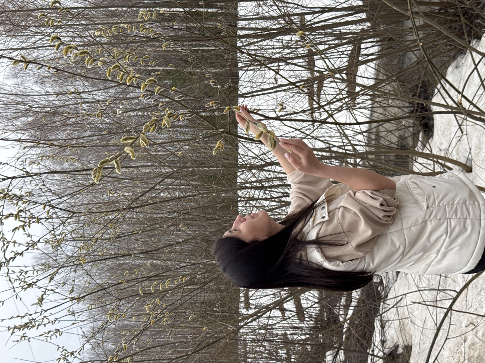 The image shows a woman standing in a wooded area near a city identified as Unknown, Unknown. She is examining pussy willow branches. The ground appears to be snow-covered.
