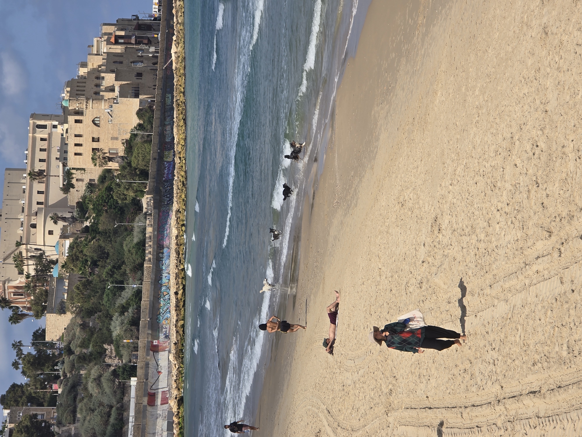 The image shows a beach scene in Tel Aviv, Israel, with people relaxing on the sand and dogs playing in the water. The city's coastline stretches along the top left, with distinctive buildings visible against a blue sky with clouds. The water is a deep blue with white waves. Along the beach, several individuals are present: some are standing, others are lying down sunbathing. Further inland are many buildings. The sky is blue.
