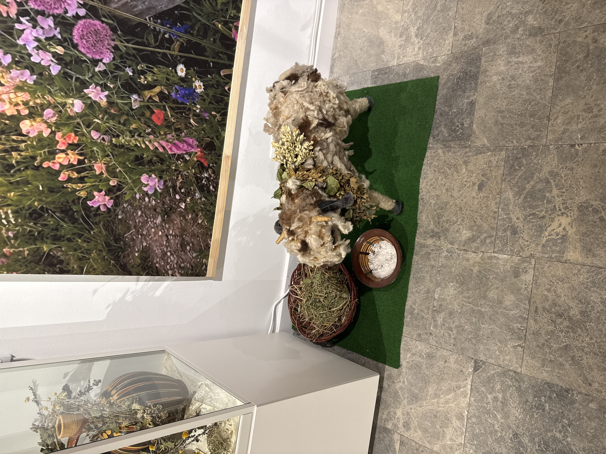 The image depicts an interior scene, likely an art exhibition, with a focus on a displayed artwork of a sheep. The sheep, made of a textured, wool-like material, is adorned with dried leaves and greenery. It stands on a green artificial turf mat. Beside the sheep, on the mat, are two bowls: one filled with dried grass or hay, and another containing a white granular substance, possibly salt.
To the left of the sheep display, a white, illuminated display case contains dried floral arrangements in vases. One vase, with a striped pattern in brown and orange hues, is prominent. Above and behind the sheep display, a large, framed photograph of a vibrant field of flowers is mounted on a white wall. The floor is tiled with large, grey, marble-patterned tiles.
The setting is likely the Gabrovo house of humor and satire, given the typical artistic displays found there. The lighting is soft, suggesting an indoor exhibition space. No people are visible in the image.
