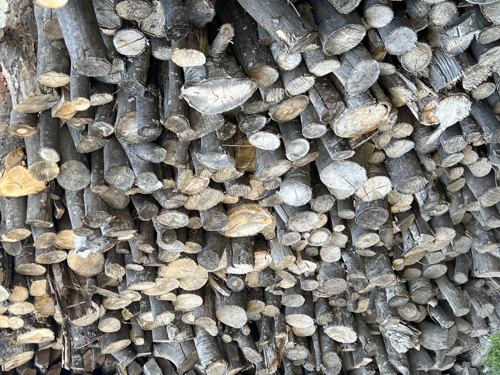 A close-up, high-angle shot depicts a dense stack of cut logs. The logs vary in size and shape, with diameters ranging from small twigs to larger branches. The cut ends of the logs are visible, revealing varying wood grain patterns and textures. The color of the wood ranges from light beige to dark gray, with some logs exhibiting signs of weathering or decay. The logs are stacked in a haphazard manner, creating a complex and irregular surface. The overall impression is one of rustic simplicity. The location is unknown.