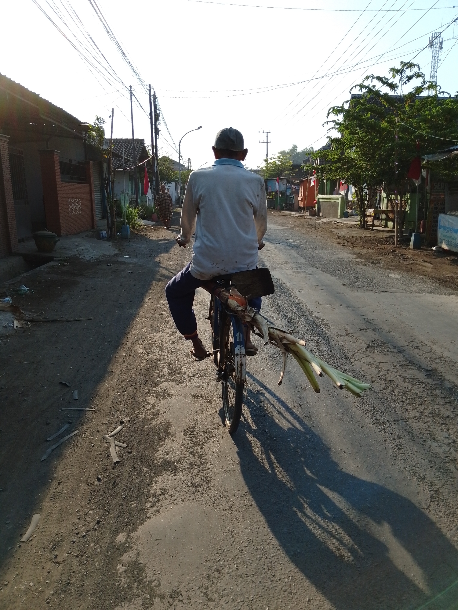 An overhead rear view shows a person riding a bicycle on a dusty, paved road in a semi-urban area of Pasuruan, Indonesia. The person, wearing a light-colored long-sleeved shirt, dark pants, and a dark cap, is riding away from the camera. The bicycle is loaded with what appears to be banana tree stalks or large plant stems attached to the front handlebars, extending outwards. The road is lined with houses and small buildings, some with red tile roofs. Overhead power lines crisscross the sky. In the background, a few red and white flags are visible, possibly indicating a national holiday or celebration. The sun is low in the sky, casting long shadows across the road. The overall scene depicts a slice of daily life in a Indonesian town.