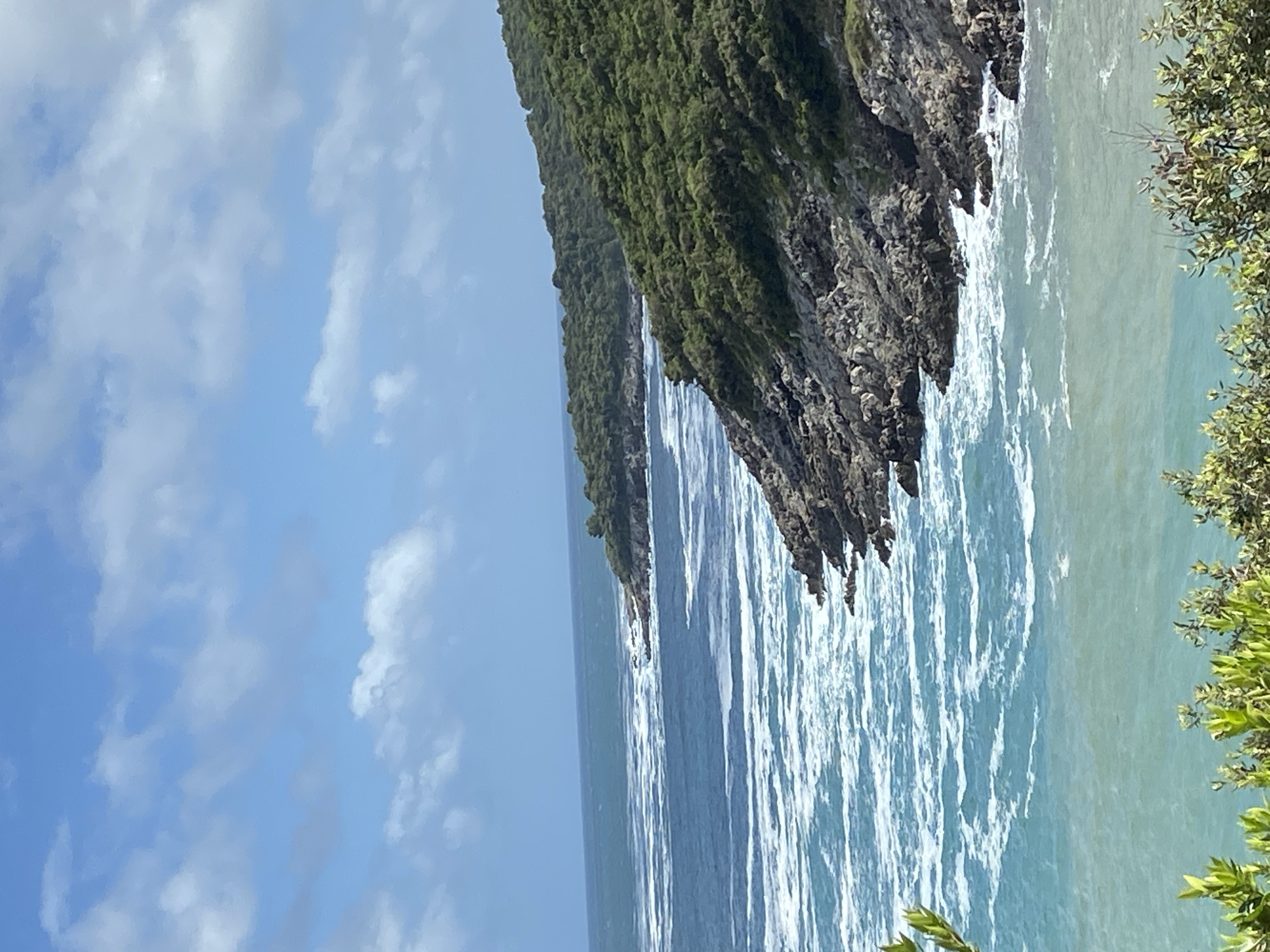 A landscape photograph features a rugged coastline along the Adriatic Sea in Dubraljevina, Montenegro. The image shows a steep, rocky cliff densely covered in green vegetation, sharply contrasting with the blue-green sea below. Waves crash against the rocks, creating white foam patterns on the water's surface. The sky is partially cloudy, with patches of blue visible. In the foreground, foliage frames the right side of the image, suggesting the perspective of someone looking out from an elevated position. The photograph is oriented vertically.