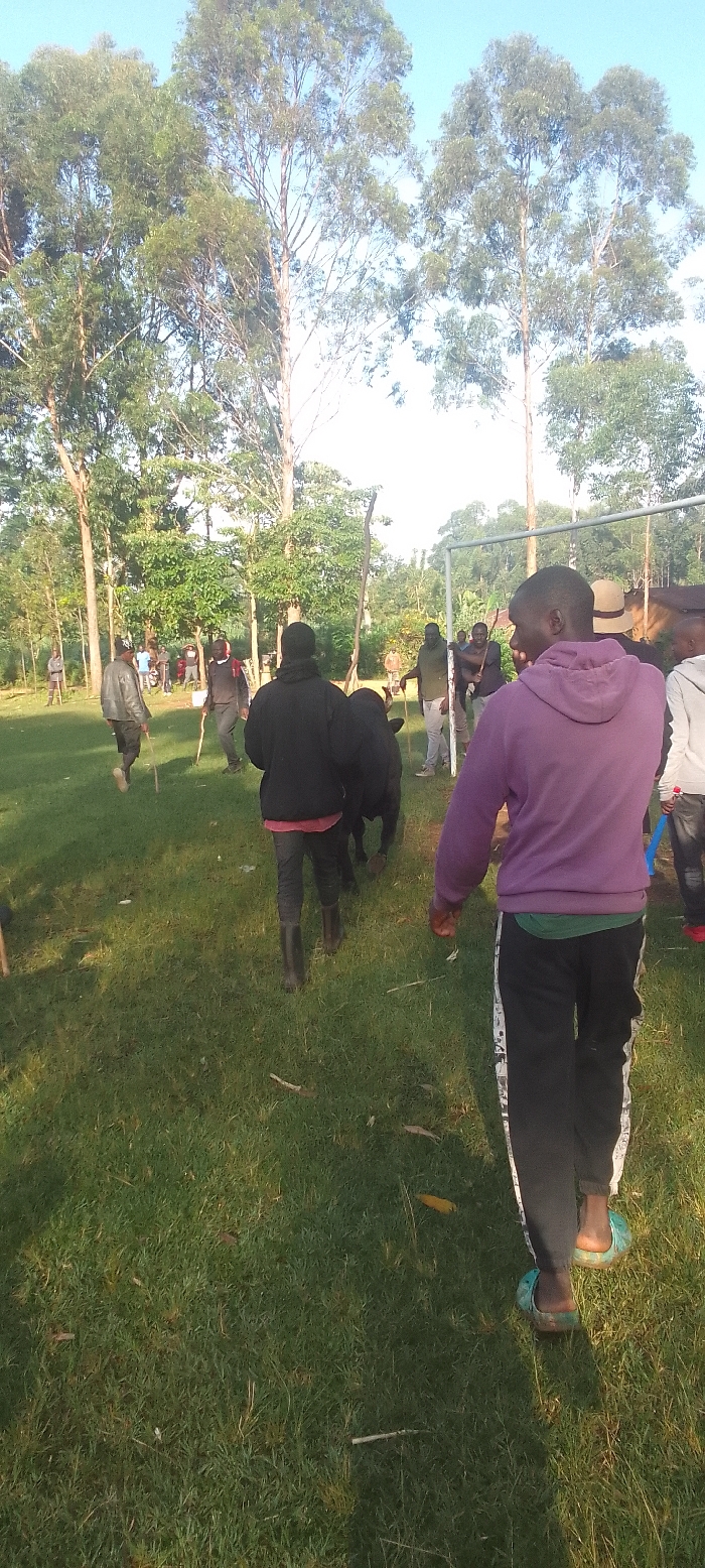 The image shows a group of men in a grassy field. There is a black cow in the middle of the field, with a group of men in the background, surrounding the cow. The man in the foreground is wearing a purple sweatshirt, black sweatpants, and blue sandals. He is walking towards the camera. The scene is located in Isukha ICHINA, Kenya, at the coordinates 0.351, 34.781. The men are likely in the process of herding the cow. There are trees in the background.