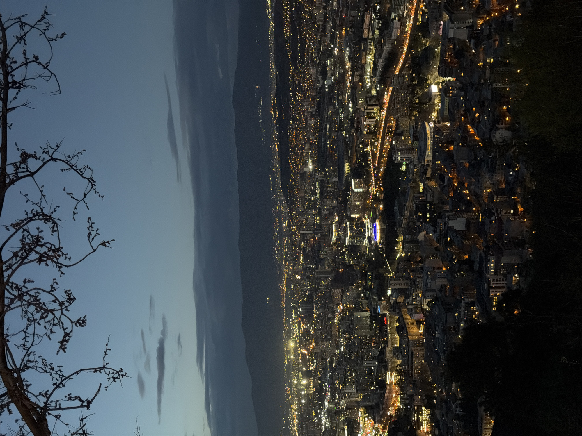 The image shows a nighttime view of Tbilisi, Georgia, likely from a high vantage point. The city lights stretch across the scene, with darker mountain ranges visible in the distance under a twilight sky. In the foreground, the silhouetted branches of a tree frame the left side of the picture. The city appears densely populated with illuminated buildings and roads, suggesting a vibrant urban environment.