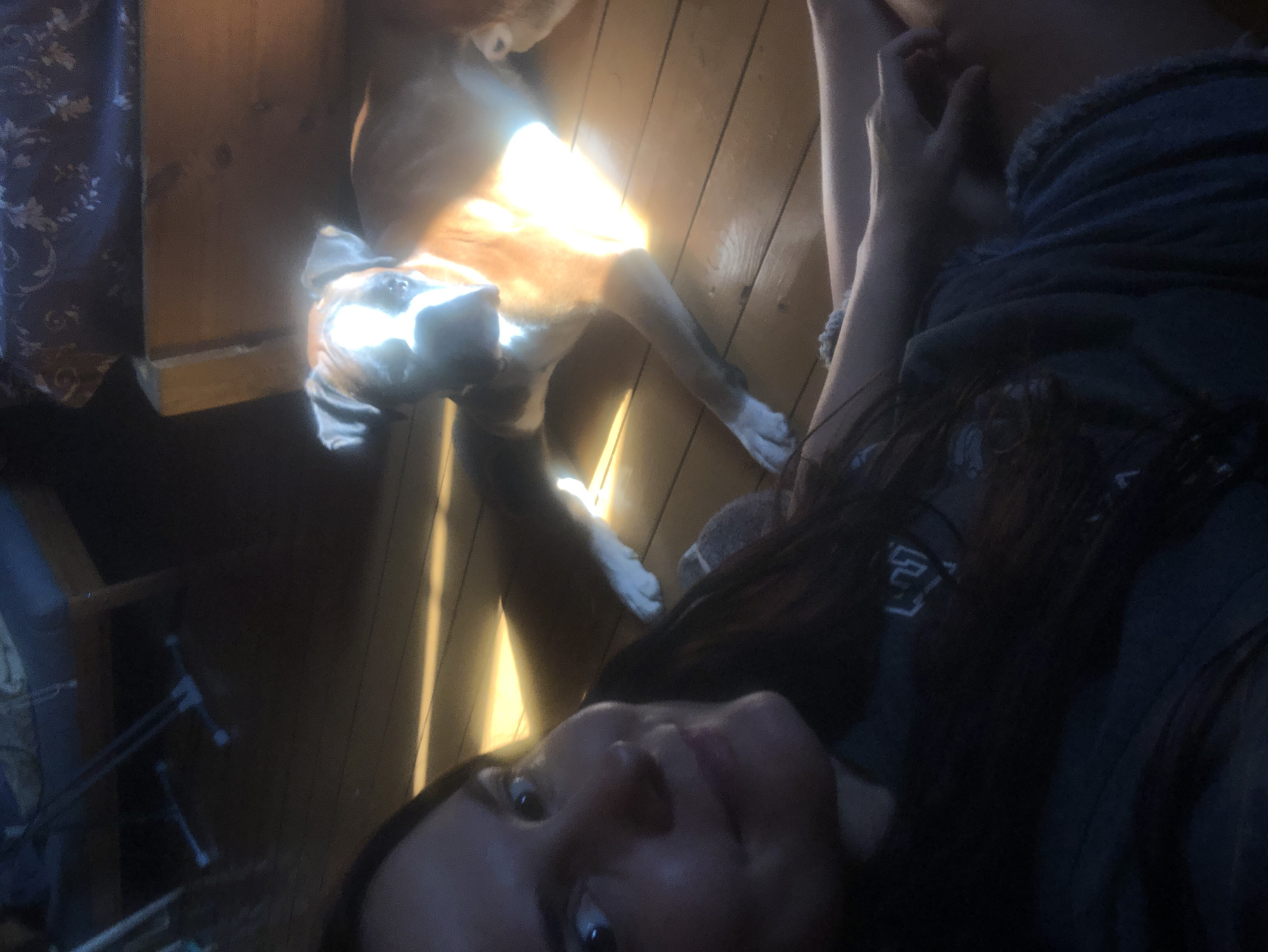 The image captures a person and a dog indoors, possibly in a residential setting. The scene is dimly lit, with strong sunlight casting dramatic shadows across the wooden floor. The person, in the foreground, is partially visible, with their face turned to the side, looking towards the camera. Their hair is dark and long, and they are wearing a dark-colored shirt with a subtle graphic design. The dog, a boxer mix with a distinctive white blaze on its face, is lying on the floor behind the person, bathed in a shaft of sunlight. The dog appears relaxed. In the background, there are glimpses of furniture, including what looks like a wooden bed frame and a patterned fabric, suggesting the presence of a bedroom or living area. The overall impression is of a candid, everyday moment shared between a person and their pet in a sunlit room. There is no information available to determine the location within the city of Романово, Russia.