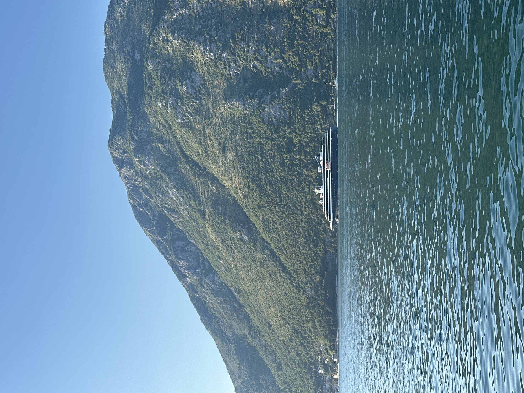 The image depicts a large, serene body of water, identified as a bay or fjord, situated in Prčanj, Montenegro. A massive, verdant mountain, densely covered with green foliage and showing some exposed grey rock faces, dominates the background, rising steeply from the water's edge and filling the majority of the frame's upper and middle sections. The sky above is clear and uniformly bright blue, devoid of clouds.
In the mid-ground, a modern cruise ship with a dark hull and lighter upper decks is positioned on the water, appearing to be in motion or recently anchored, evidenced by a faint wake trailing behind it. Further to the right and closer to the distant shoreline, a small white sailboat is visible. Along the base of the mountain on the left side, several small, light-colored buildings with reddish roofs are discernible on the distant shoreline, indicative of a coastal settlement. The water's surface exhibits subtle ripples, reflecting the clear blue sky and the green tones of the surrounding landscape. No individuals are visibly present on the ships or shore. The lighting suggests a clear day.