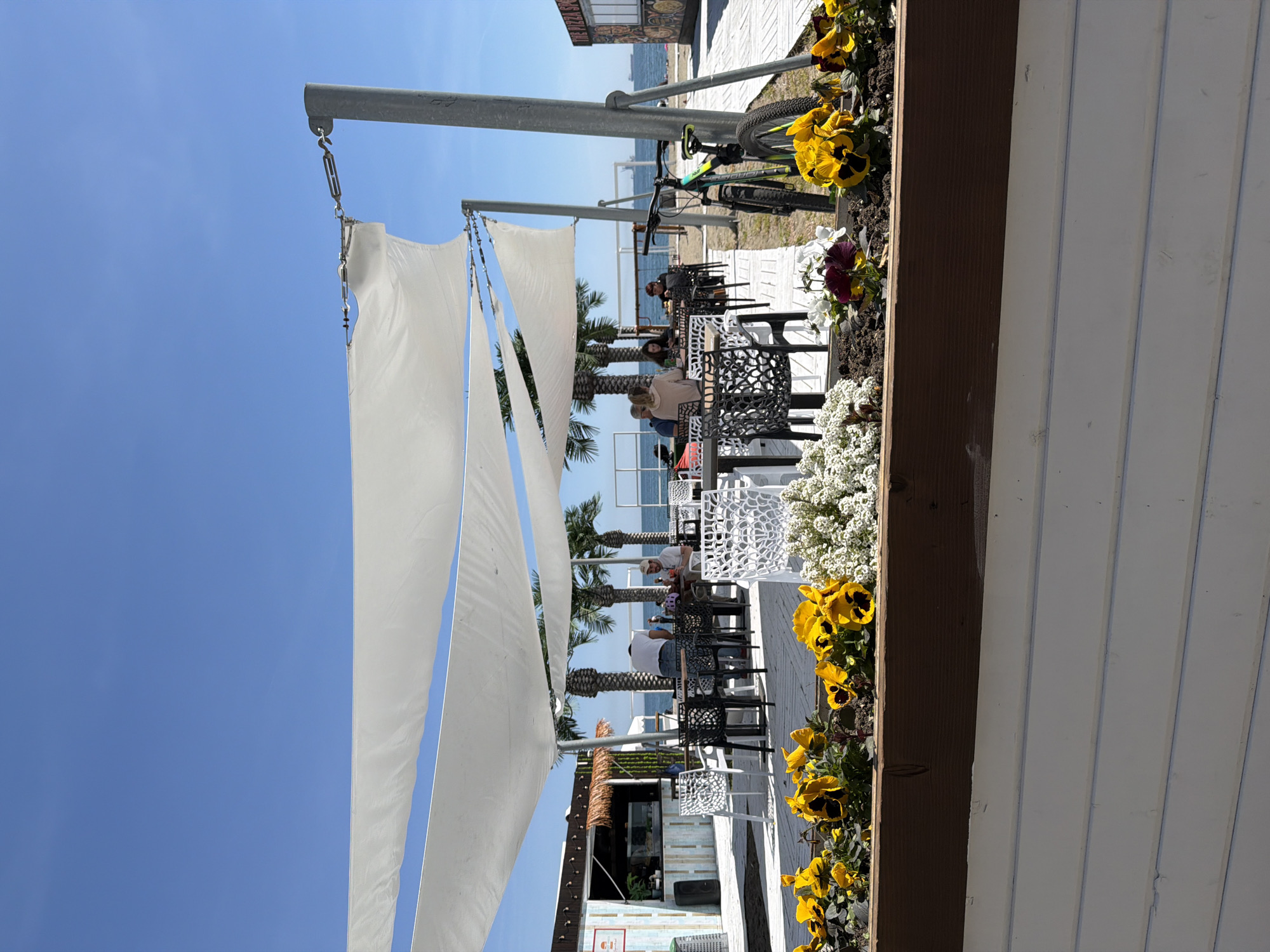 The image shows an outdoor dining area at a cafe located at a beachside. There are several tables and chairs arranged under a white canopy. People are seated at the tables, appearing to be customers of the cafe. Palm trees are visible in the background. A bicycle is parked. Flowers grow in a planter. The sky is clear and blue.