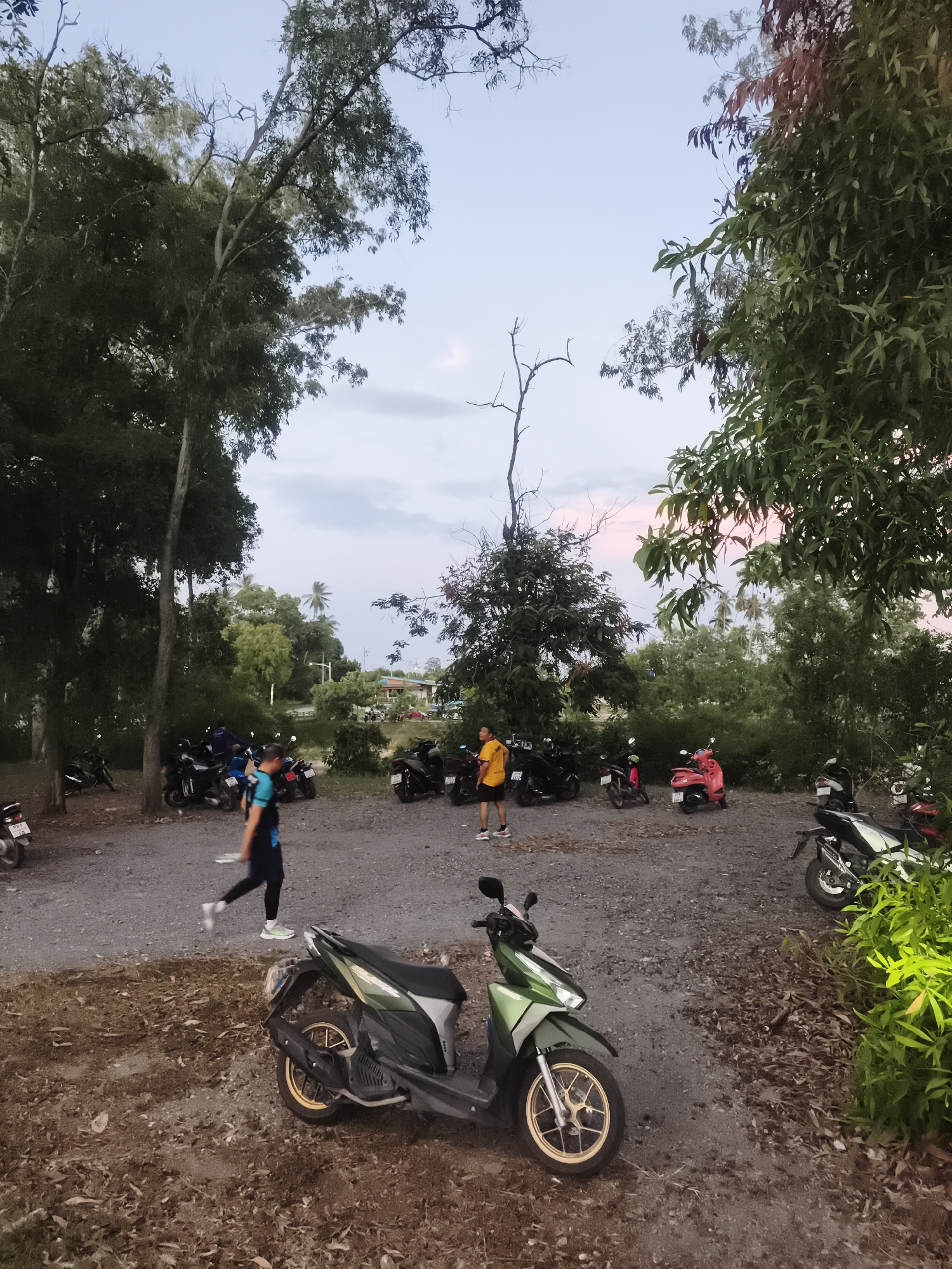 Memory