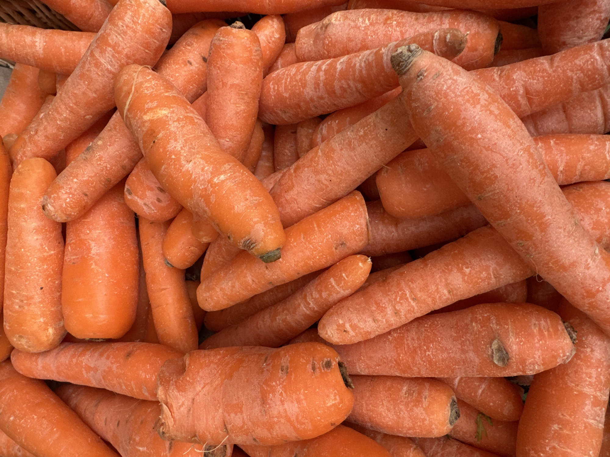 A dense pile of raw, unwashed carrots fills the entire frame. The carrots are predominantly orange, varying in shades, and display irregular shapes and sizes. Visible soil remnants adhere to their surfaces, and some exhibit minor root fragments or superficial blemishes. They are arranged in a disordered, bulk quantity, suggesting storage or display for sale. There are no individuals, other objects, or discernible actions within the scene. The specific location within the city of Wealden, United Kingdom, cannot be determined from the visual information provided.