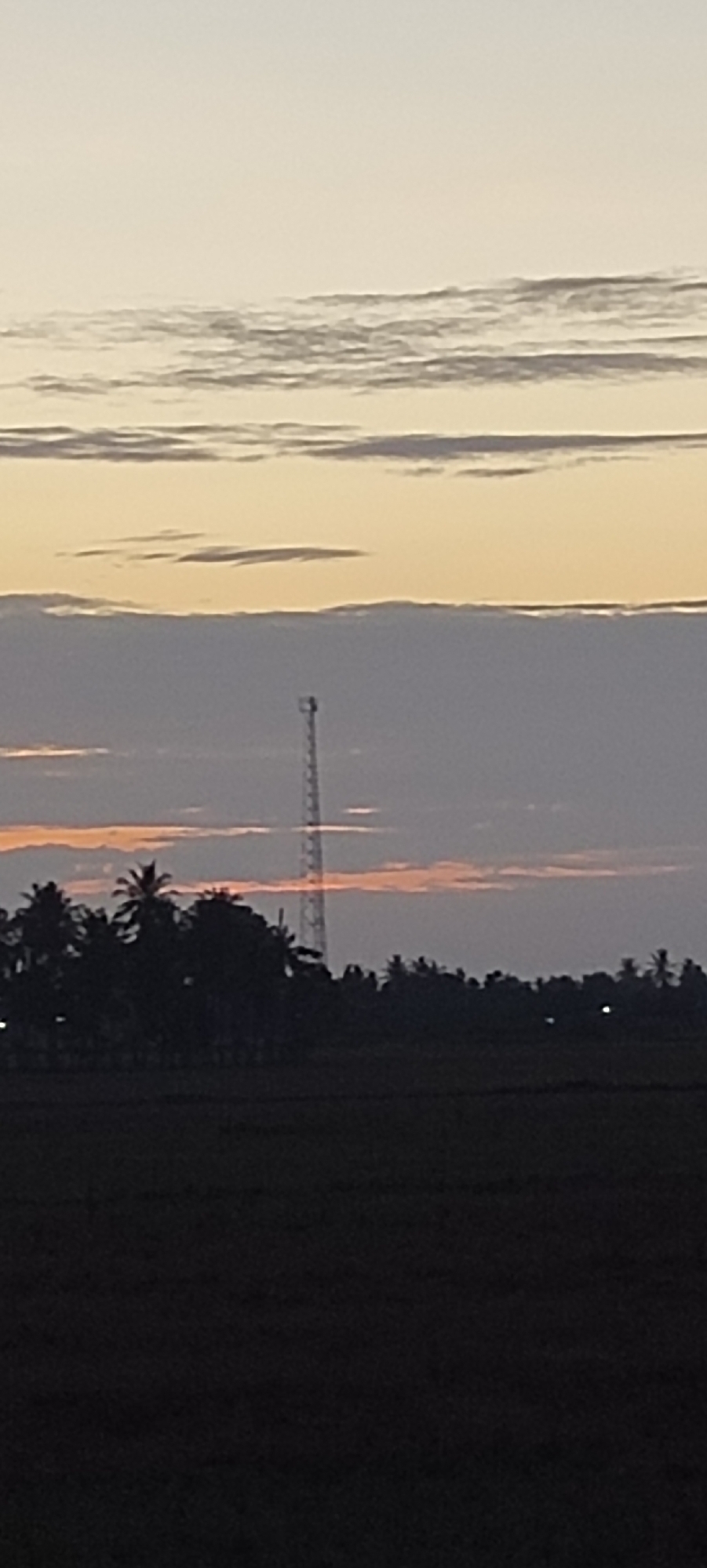 This image depicts a landscape likely in or near Cotabato, Indonesia, during a twilight or sunset period.
**Environment:** The sky is layered with light-colored clouds, potentially indicative of the early stages of sunrise or the late stages of sunset. The lower portion of the frame reveals a dark, undefined ground, suggesting a field or open area with poor visibility due to low light conditions.
**Subjects:** Silhouetted against the sky are trees, including palm trees.
**Objects:** A transmission or cell tower rises vertically from the treeline.
**Actions/Interactions:** No human activity is visible. The primary interaction is between the natural environment (sky, trees) and a man-made structure (tower).