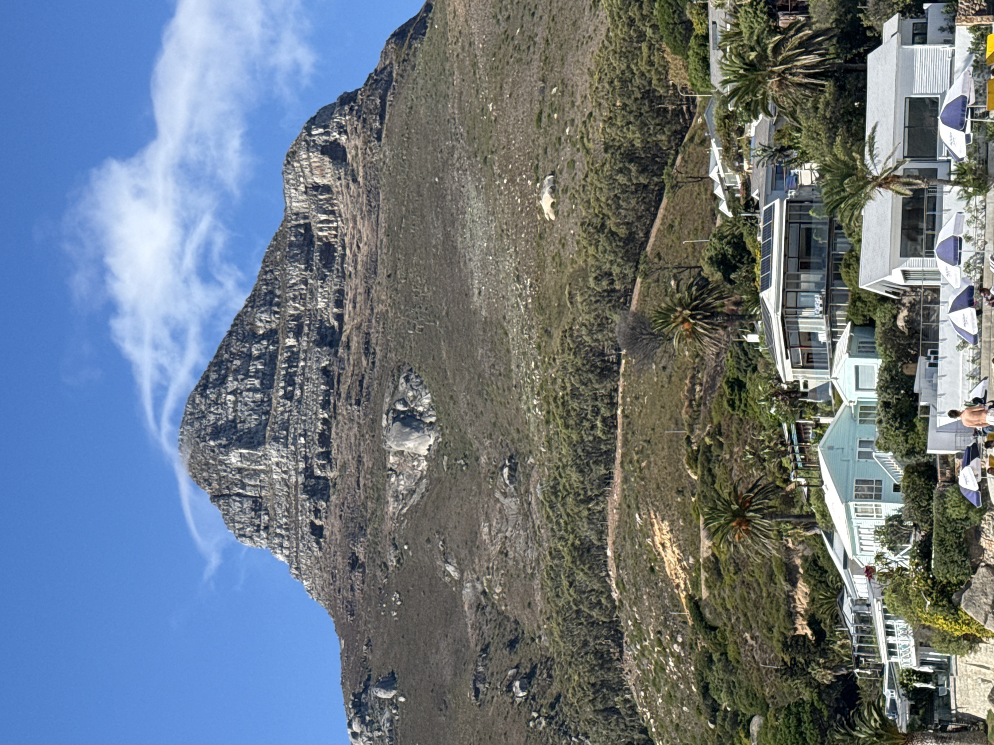 The image displays a coastal landscape scene in Cape Town, South Africa. In the background, a large, prominent rocky mountain with visible stratified layers dominates the upper portion of the frame under a clear blue sky with sparse, wispy white clouds. The mountain's lower slopes are covered in dry, sparse scrub and large boulders, transitioning into a dense belt of green trees that runs horizontally across the mid-slope.
The midground features numerous residential buildings, primarily single to multi-story houses, nestled into a green, vegetated hillside. These structures exhibit varying architectural styles, including modern designs with large windows and balconies, and more traditional, lighter-colored homes. Several palm trees and other green foliage are abundant throughout this area; one modern house is equipped with solar panels on its roof.
The foreground presents a rocky embankment or beach area. Three blue and white striped beach umbrellas are deployed on the ground. A single male individual, shirtless and facing away from the viewer, stands upright in the lower-center of the frame. Other indistinct human figures are partially visible beneath the umbrellas.