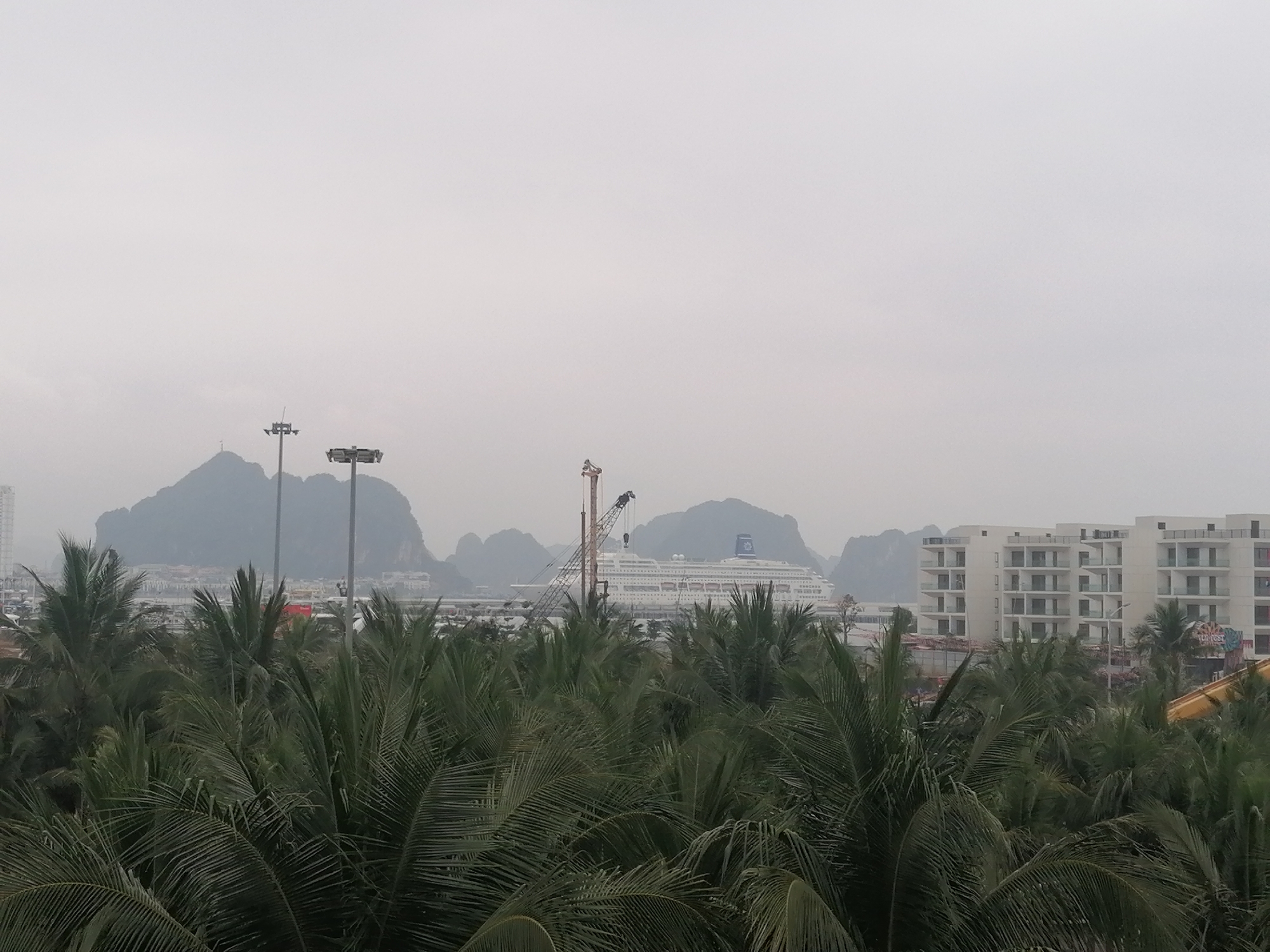 This image presents a hazy, overcast view of a coastal scene in Bai Chay Ward, Vietnam, characterized by layers of natural foliage, modern structures, and distinctive geological formations.
In the immediate foreground, a dense canopy of lush, dark green palm fronds dominates the lower portion of the frame, suggesting a tropical or subtropical environment. Their broad leaves create a vibrant, textured barrier that partially obscures the midground.
Beyond the palm trees, in the midground, several human-made elements are visible. A large, white cruise ship, possibly a passenger liner, is prominently docked or anchored. A blue emblem or logo is faintly discernible on its funnel, though specific text is not legible. Nearby, a tall construction crane stands, possibly indicating ongoing development or activity at a port. To the right, a cluster of modern, multi-story white buildings with multiple balconies are seen, likely part of a resort complex or residential area, with a colorful, illegible sign on one facade. Tall light poles are also scattered across this section.
The background is defined by the iconic karst limestone mountains or islands, characteristic of the Ha Long Bay area. These rugged, forested peaks appear muted and somewhat indistinct due to the pervasive atmospheric haze or fog, which gives the entire scene a soft, diffused light quality. The sky above is uniformly grey and overcast, contributing to the muted color palette.
The image captures a tranquil daytime scene, devoid of explicit human activity or people, focusing instead on the blend of natural beauty and urban development against a misty backdrop.