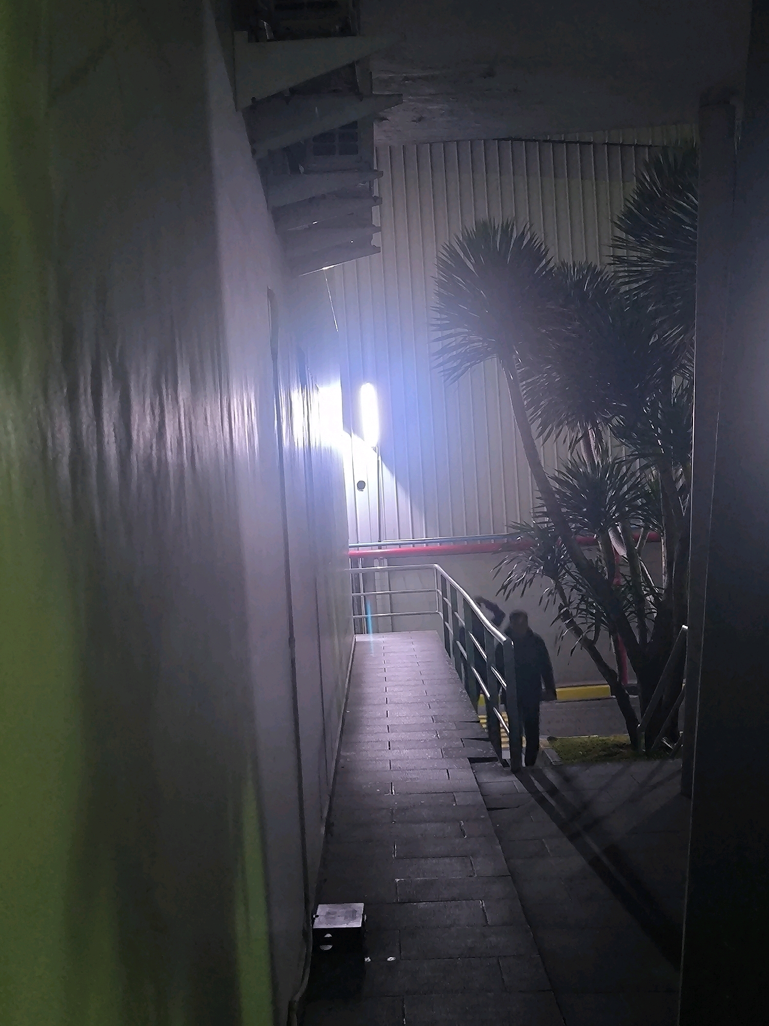The image depicts a dimly lit outdoor walkway at night, with a bright light source illuminating the scene from the left. The walkway is paved with dark rectangular tiles. On the left side of the walkway is a large, textured wall, possibly made of concrete or painted metal, with a greenish hue. On the right side, there is a railing with black vertical bars and a red horizontal pipe running along its top. Behind the railing, there are several palm-like plants.
Further down the walkway, two individuals are visible. The person in the foreground is walking away from the camera, wearing dark clothing. Their shadow is cast prominently on the walkway due to the light source. Another figure, partially obscured, is standing or walking ahead of the first person. The background features a corrugated metal wall with vertical lines.
The overall ambiance suggests an urban environment, possibly a service area or a less-trafficked part of a building complex. Given the mention of Bandung City, Indonesia, this could be an outdoor pathway in an industrial area, a public facility, or a building's rear access. The presence of plants and the architectural style of the building (corrugated metal walls) are consistent with tropical or subtropical urban settings found in Indonesia.