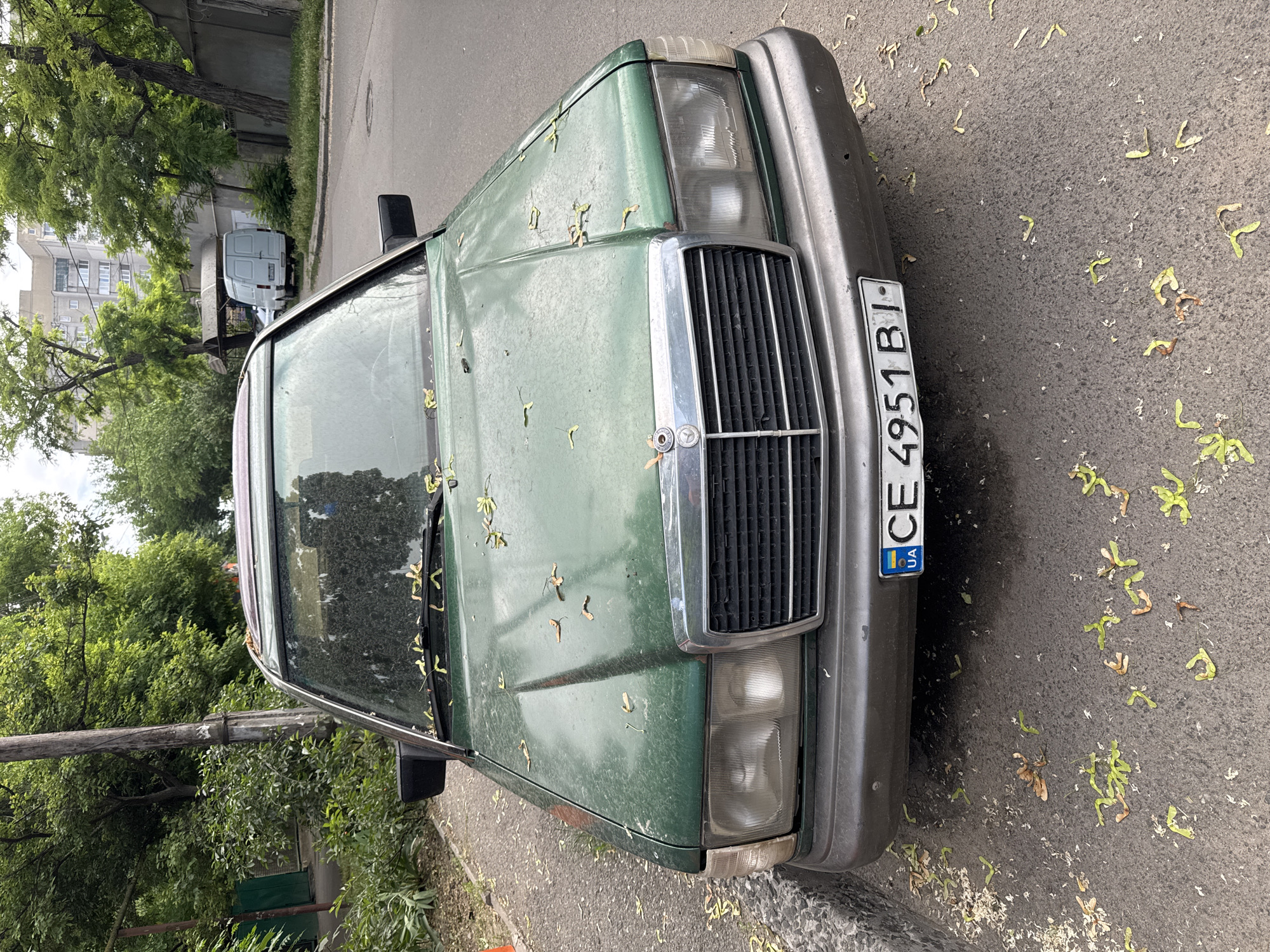 A green Mercedes-Benz W124 series sedan, bearing Ukrainian license plate "CE 4951 BI" (indicating Odesa Oblast), is parked on an asphalt street in Odesa, Ukraine. The vehicle is observed head-on, slightly angled to the right, revealing a dusty body and windshield covered with numerous light green and brown samara seeds, likely from a nearby maple tree. The front grille is chrome, and the headlights are clear. A dark grey bumper extends across the front.
The street surface, also asphalt, is sparsely covered with scattered samara seeds and light debris. To the left, a textured grey sidewalk is visible, bordered by dense green foliage and a wooden utility pole with attached wiring. In the background, a white panel van is parked further down the street, facing away from the camera. Beyond the street and trees, a multi-story residential building with a light-colored facade is visible under an overcast sky. No individuals are present in the scene.