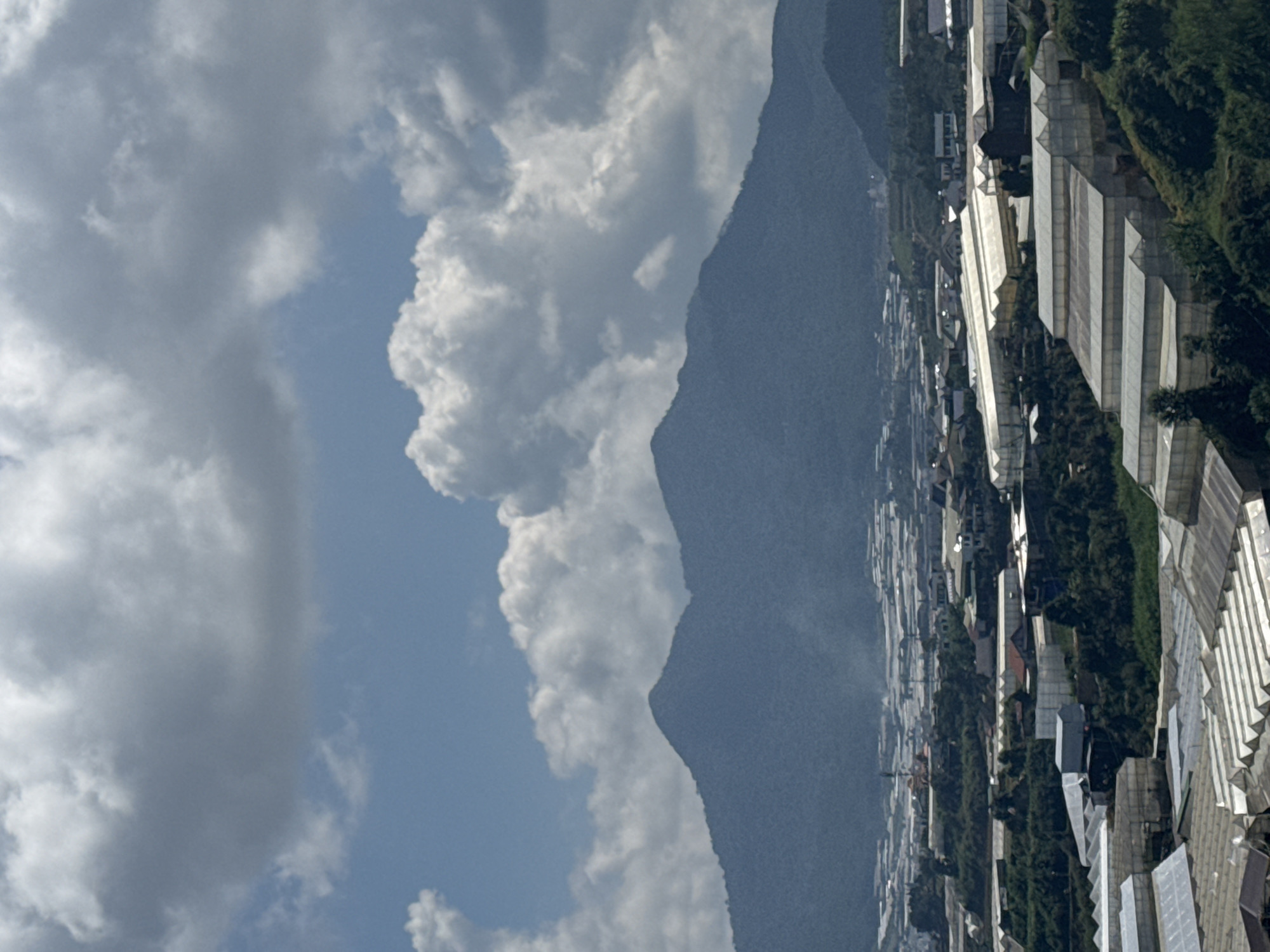 This image shows a panoramic view of Lạc Dương city in Vietnam. The foreground is dominated by a dense cluster of greenhouses, their white, translucent roofs forming a textured pattern across the landscape. These structures vary in size and shape, indicating agricultural activity. Beyond the greenhouses, the middle ground reveals a sprawling urban area with a mixture of buildings, some appearing to be houses and others larger industrial or commercial structures. A prominent feature of the background is a range of lush, green mountains, their slopes covered in dense vegetation. The sky above is a dramatic mix of bright blue patches and large, fluffy white clouds, suggesting a partly cloudy day. There are no people or animals visible in the image.