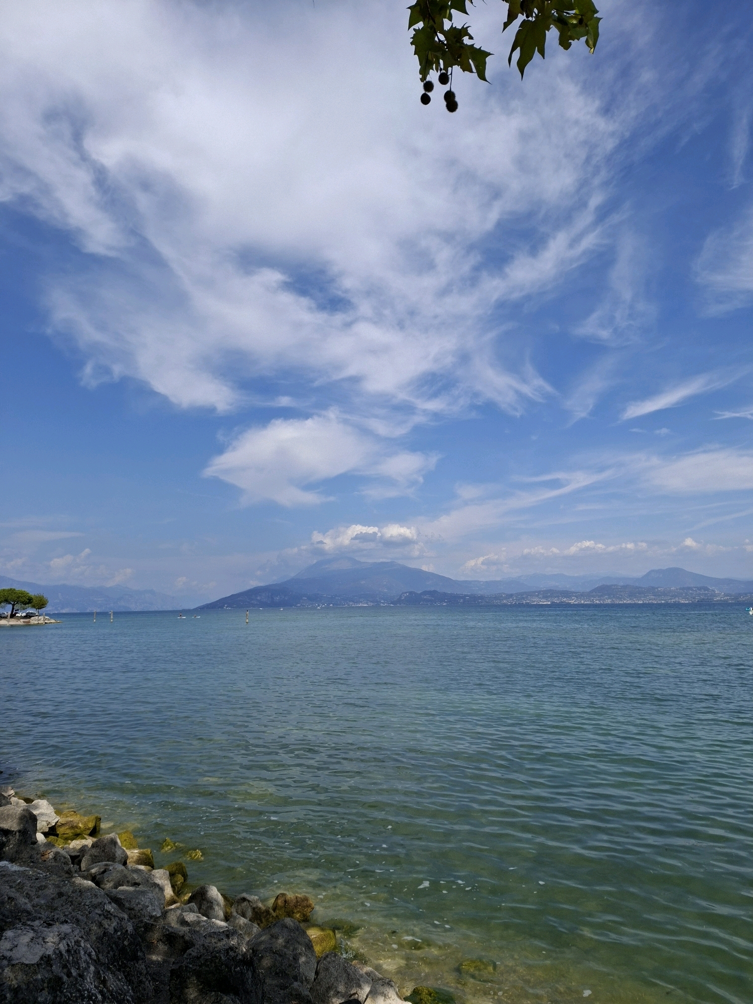 This is a landscape photograph taken on a bright, sunny day at the shore of Lake Garda in Sirmione, Italy. The foreground features a rocky embankment with large, gray stones, some of which are covered in green moss. The water of the lake is calm with gentle ripples, appearing clear and blue-green in color, with lighter sandy patches visible beneath the surface near the shore. In the middle ground, several small buoys are visible in the water, along with two individuals on paddleboards. Across the lake, a range of mountains forms the horizon, with a hazy, blue-purple hue. The sky above is a vibrant blue, adorned with wispy white clouds that are dramatically scattered across the expanse. In the upper right corner of the image, a tree branch with green leaves and small, dark, spherical fruits hangs into the frame, providing a natural foreground element. The overall scene evokes a peaceful and serene atmosphere of a summer day by the lake.