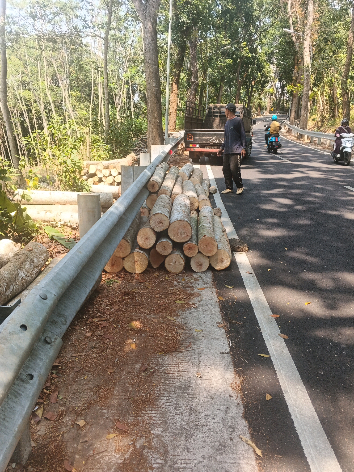 The image captures a roadside scene in Bandarjo, Indonesia, on a clear, sunny day. In the foreground, a pile of freshly cut logs is stacked along the edge of a paved road, adjacent to a metal guardrail. A person, dressed in dark clothing and a cap, stands near a flatbed truck loaded with more logs, observing the scene. Further down the road, two motorbikes are visible, one ridden by a person wearing a blue helmet and the other by a person in a pink headscarf and dark clothing. The road is lined with lush trees, creating a natural, somewhat rural ambiance. The presence of logs suggests an ongoing logging or wood transport operation in the area.