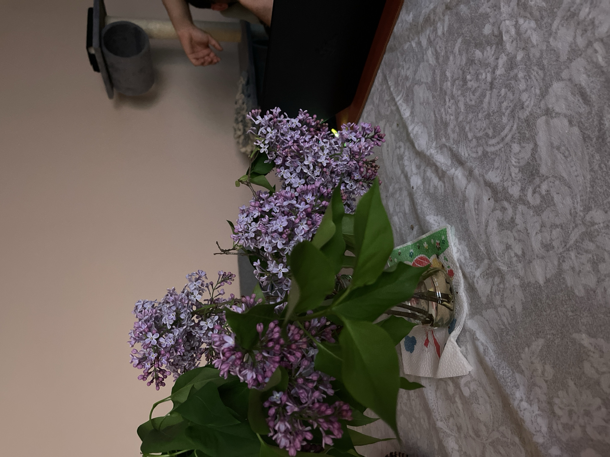 The image, rotated counter-clockwise, depicts an indoor scene centered around a bouquet of purple lilac flowers. The vibrant lilacs, accompanied by their green leaves, are arranged in a clear glass vase or jar. The base of the vase is partially wrapped in a white paper towel, which features small, colorful patterns in red, blue, and green. This arrangement sits on a table covered by a light grey patterned tablecloth, possibly with a floral or damask design.
In the upper left portion of the frame, a person's arm and hand are visible, with the hand resting open. Adjacent to the hand and further back, a grey cylindrical object rests on a dark grey, flat surface, suggesting a wall-mounted shelf or holder. The background wall is a plain, light beige hue. The lighting is soft and ambient, indicative of an indoor setting, potentially in the evening. No specific activity is taking place beyond the still arrangement of flowers and the resting hand. There is no visible text. While the location is provided as Sofia, Bulgaria, no distinctive visual elements within the image confirm this.