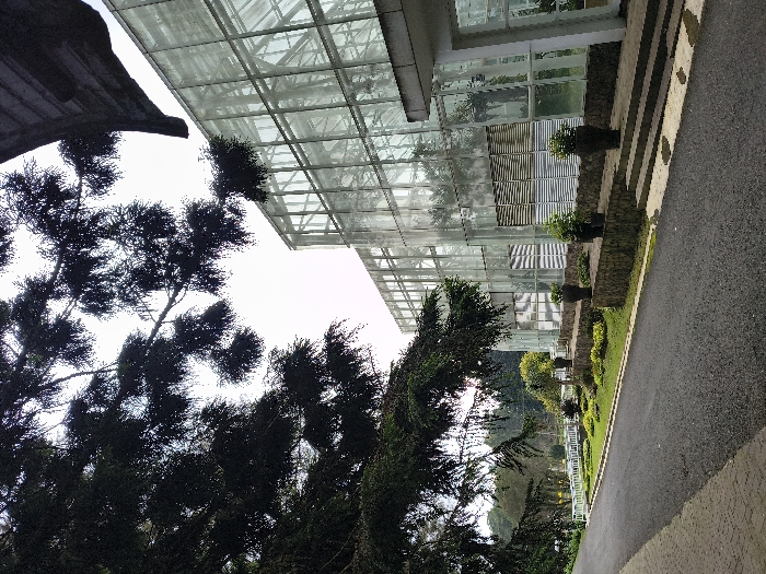 A modern glass building ascends alongside a paved path. Planters line the walkway, filled with greenery. Mature trees frame the structure, with their dense, dark foliage contrasting against the light, transparent glass. The angle of the shot creates an upward perspective towards the sky, capturing both architectural and natural elements.