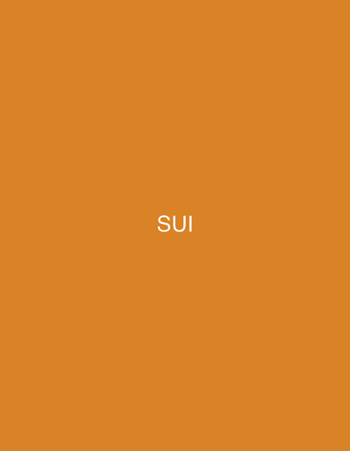 The image displays a minimalist composition featuring a solid, untextured background in a warm shade of orange-brown, resembling burnt orange or ochre. Centered on this monochromatic field is the white, sans-serif text "SUI," presented in all capital letters. No other subjects, objects, or activities are visible.
The scene is entirely abstract, lacking any discernible elements that would suggest a specific time of day, weather conditions, or a physical environment. There are no people, landscapes, buildings, or identifiable items present within the frame. The image's simplicity and singular focus on the text imply it might be a logo, a branding element, a placeholder, or a graphic design emphasizing the word "SUI." Despite the provided location context of Yerevan, Armenia, the image itself contains no visual cues to directly link it to this geographical location, appearing instead as a universal graphic.