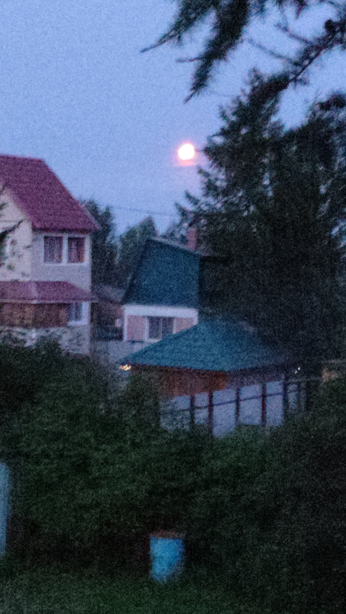 The image, captured in Mirny, Russia, depicts a twilight scene with a blurred, pinkish moon visible in the upper center-left sky. In the foreground, dark green foliage obscures the lower half of the frame. Behind the foliage, a two-story house with a reddish roof is partially visible on the left. To its right, a teal-roofed structure, possibly a gazebo or an extension of a house, is situated. Further in the background, trees and more structures are faintly discernible. The overall impression is one of a residential area at dusk, with limited clarity due to the image's resolution and possible motion blur.