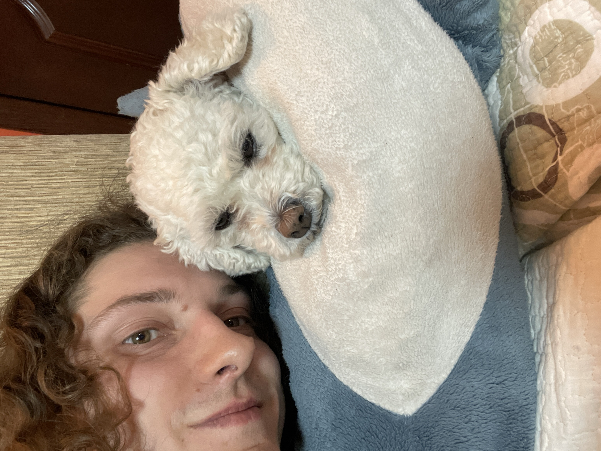 A selfie shows a person with curly brown hair and fair skin, lying down. Next to the person is a white, fluffy dog resting on a blue and white pillow. The location is unknown and cannot be determined.