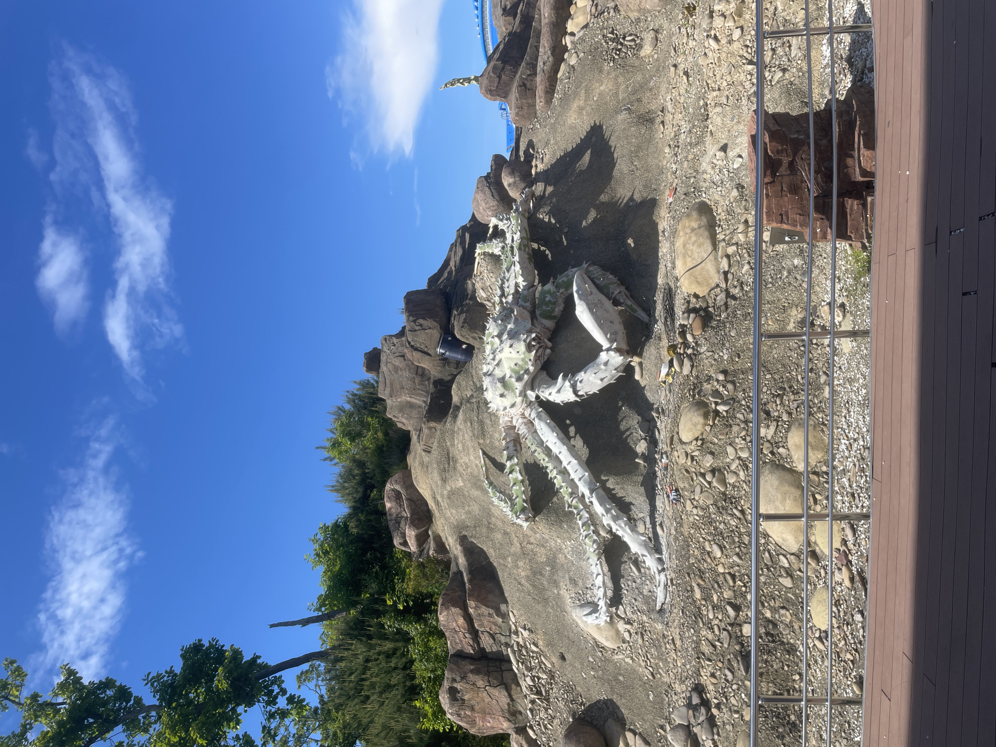 In the city of Russky, Russia, a large, artificial crab sculpture lies on a rocky, sandy embankment under a bright blue sky with sparse white clouds. The crab, appearing white with green accents on its spiny legs and body, is positioned prominently on the slope. The surrounding environment includes a variety of rocks, some larger boulders and smaller stones, and sparse greenery towards the top of the embankment. In the foreground, a wooden deck and a metal railing suggest a viewing area or pathway. In the background, a blue structure, possibly part of a larger attraction, is partially visible, along with a golden statue atop a rock formation. The scene appears to be an outdoor display or park.