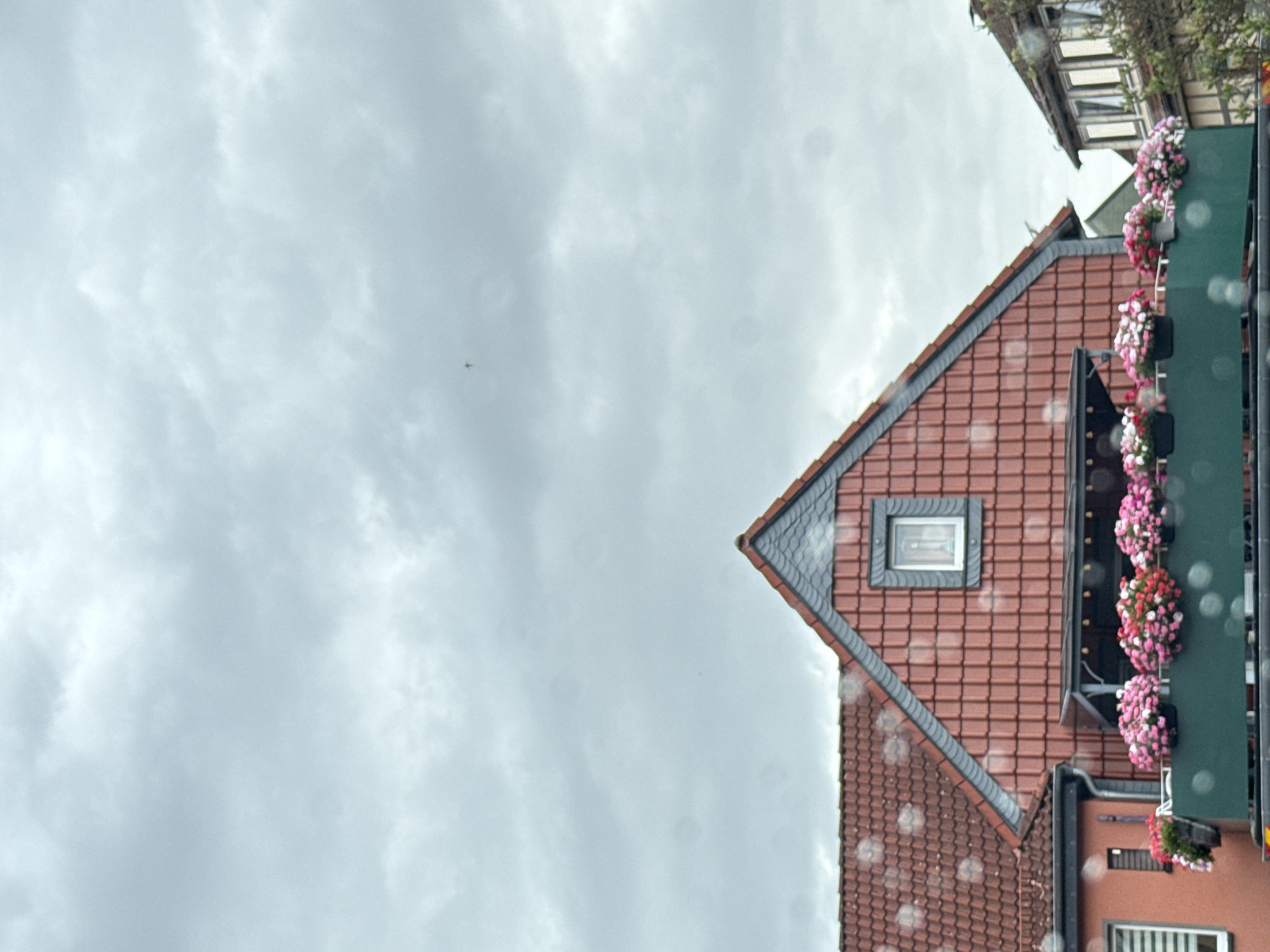 This is a photograph taken in Bad Sachsa, Germany, of a residential building with a red tiled roof. The house has a small dormer window with a light-colored frame and a religious figure visible inside. In front of the building is a green balcony or railing filled with potted flowers in shades of pink and white. Another building with a darker roof and white-trimmed windows is visible to the right. The sky is overcast with gray clouds, and there are some circular water spots or smudges on the lens, possibly from rain. A small, dark object, potentially a bird or insect, is visible in the upper part of the sky.
